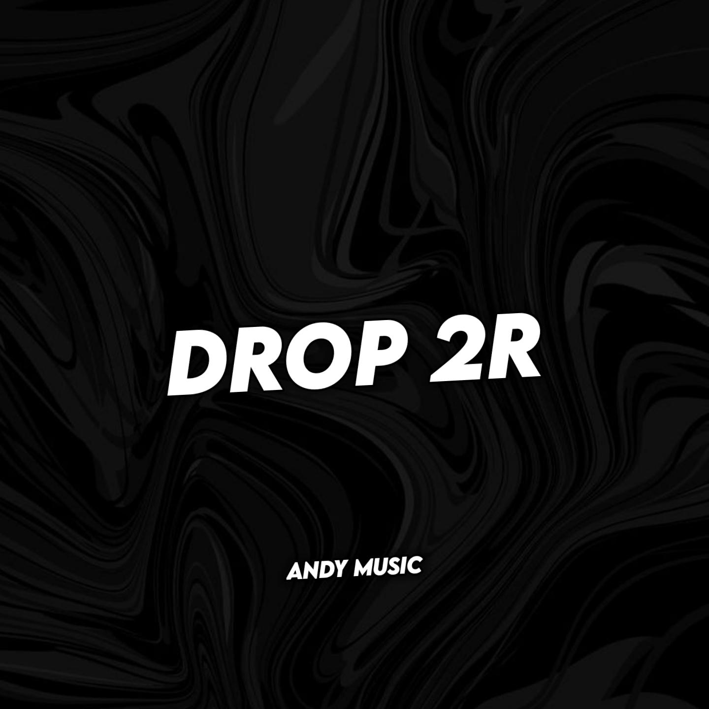 Постер альбома DROP 2R