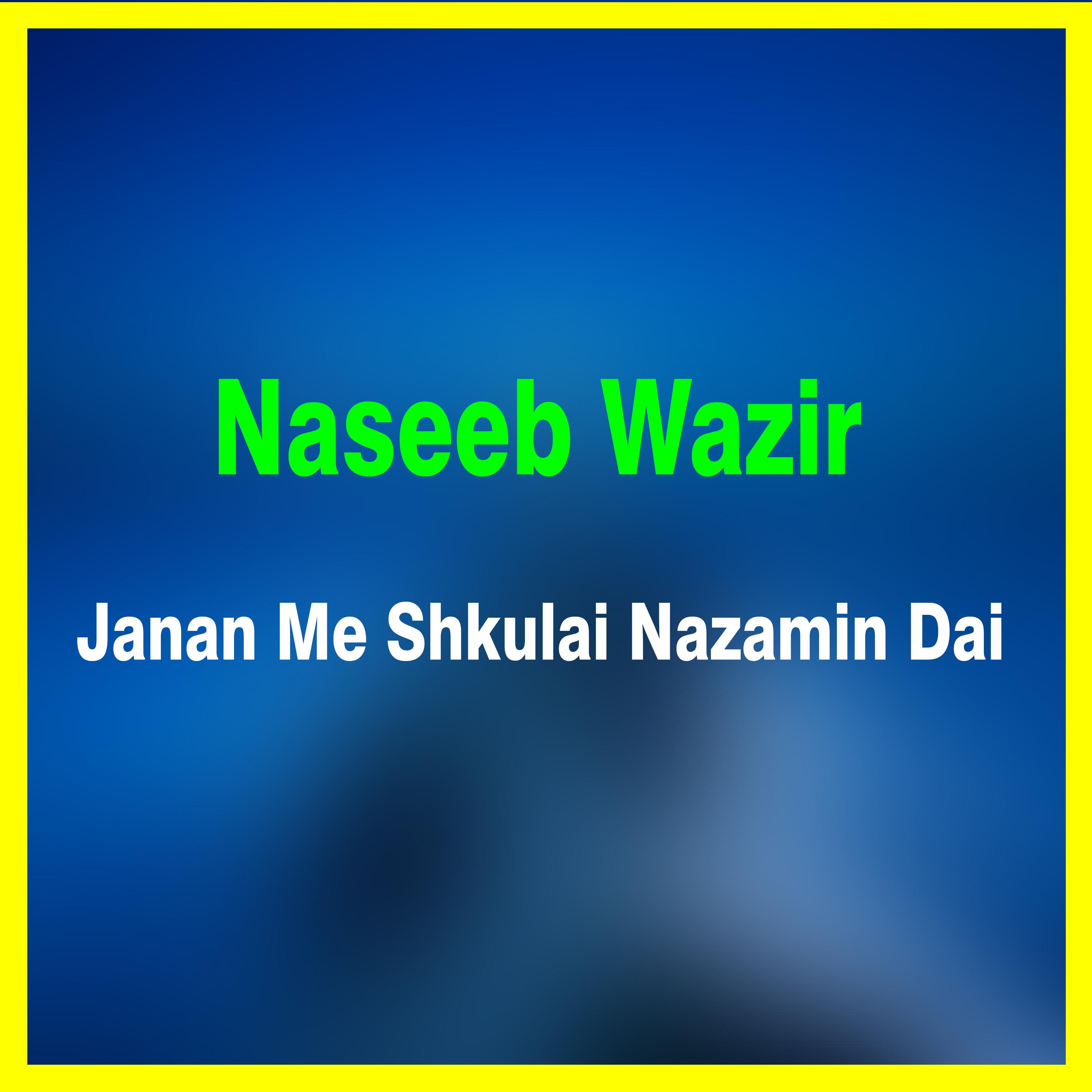 Постер альбома Janan Me Shkulai Nazamin Dai