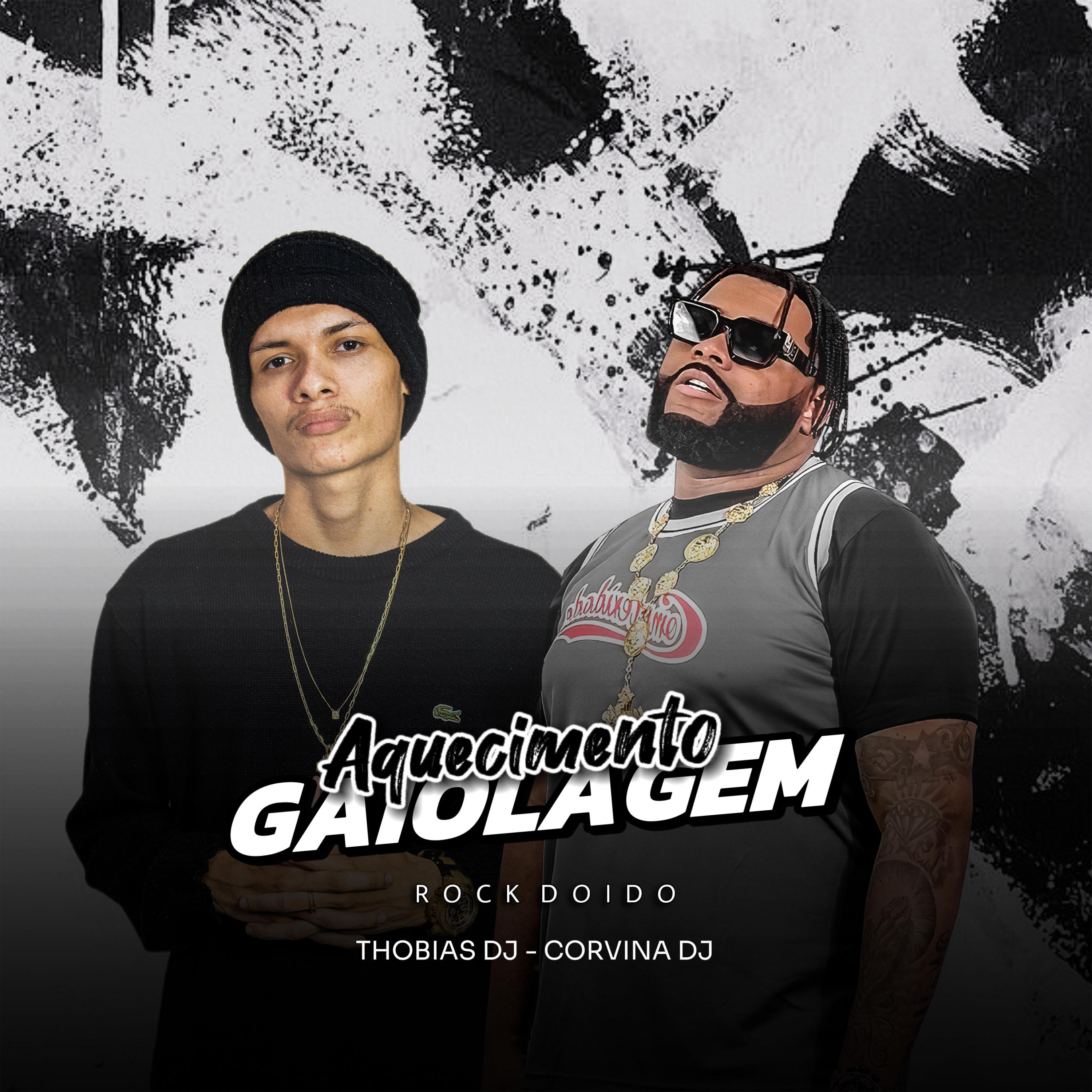 Постер альбома Aquecimento Gaiolagem Rock Doido