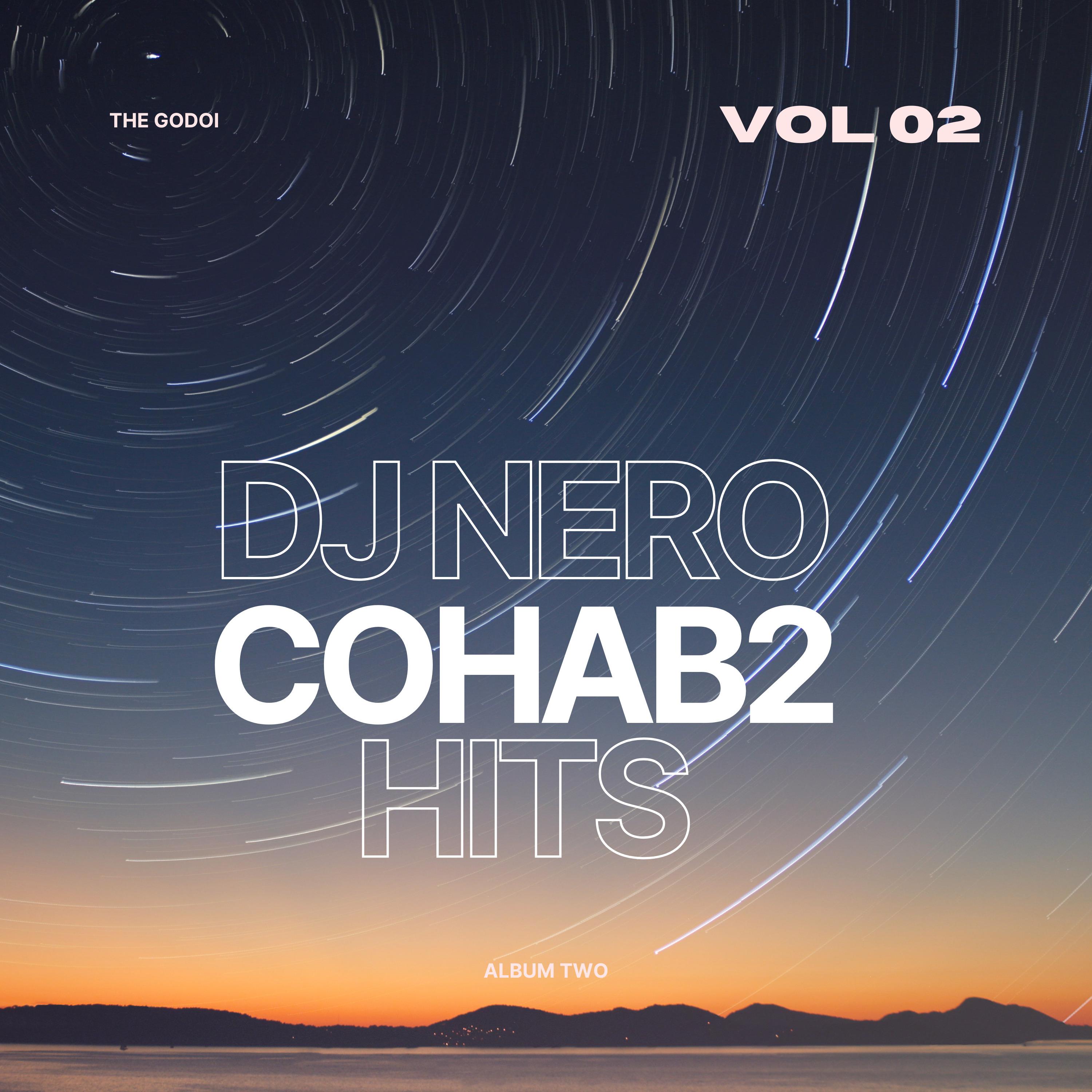 Постер альбома Cohab2 Hits, Vol. 2