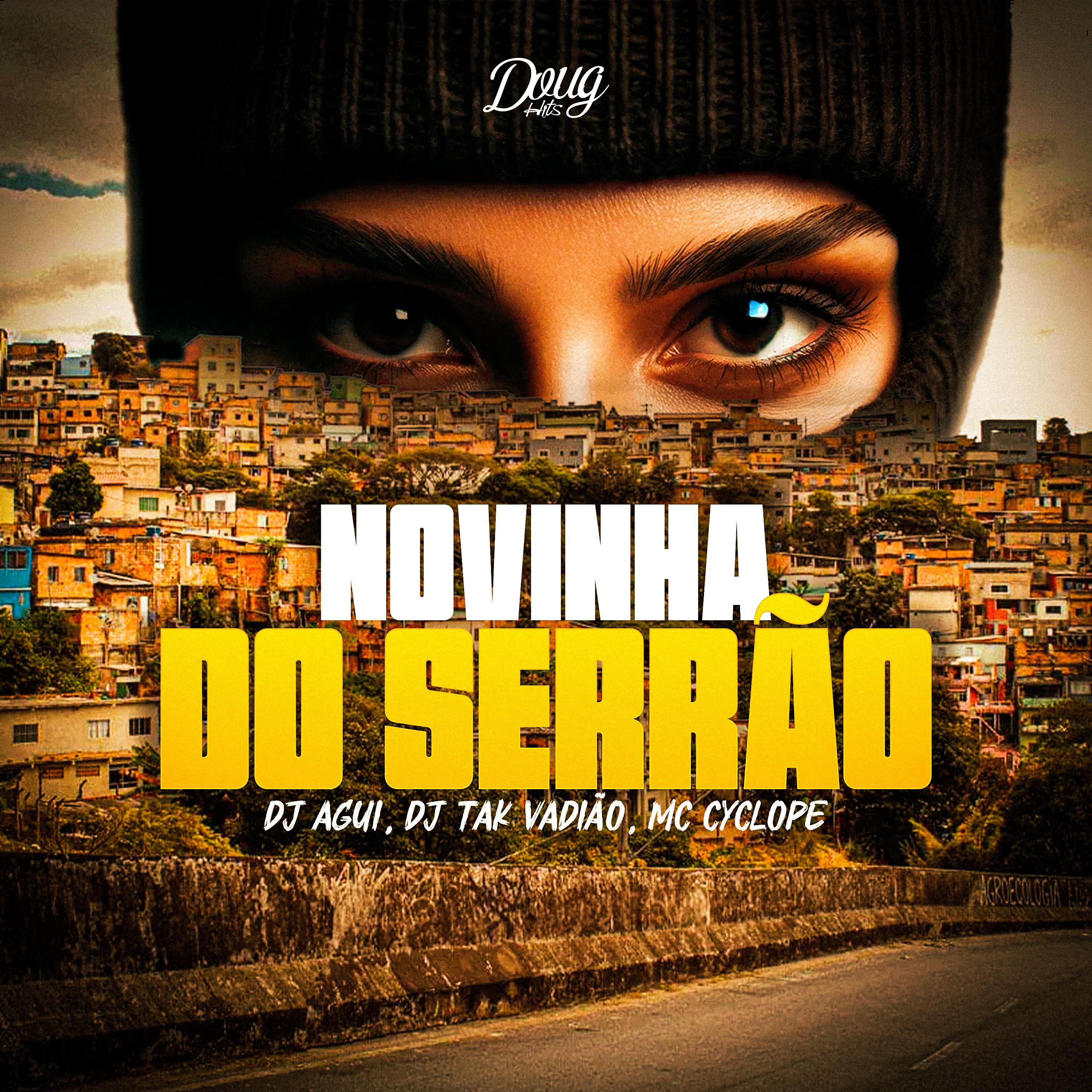 Постер альбома Novinha do Serrão