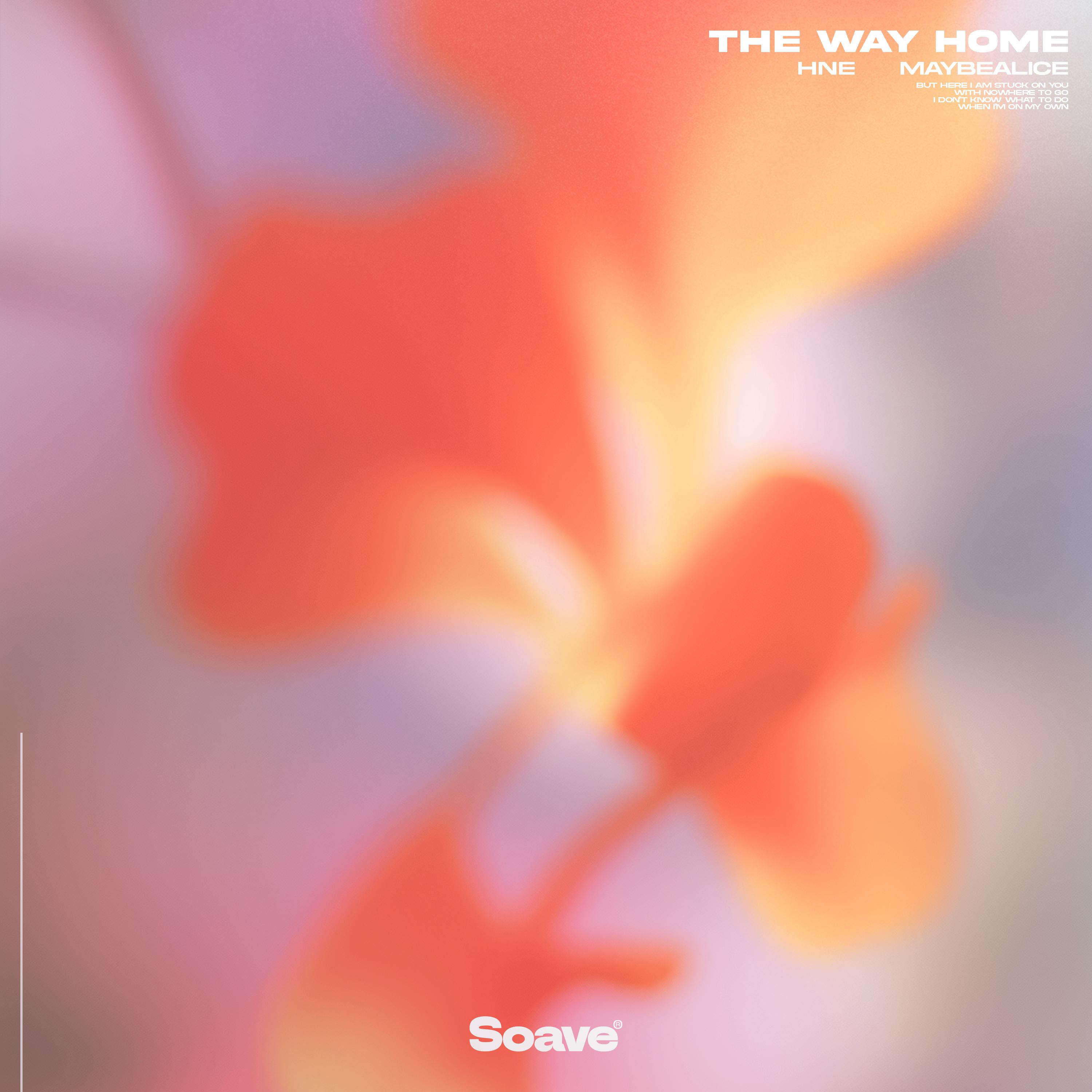 Постер альбома The Way Home