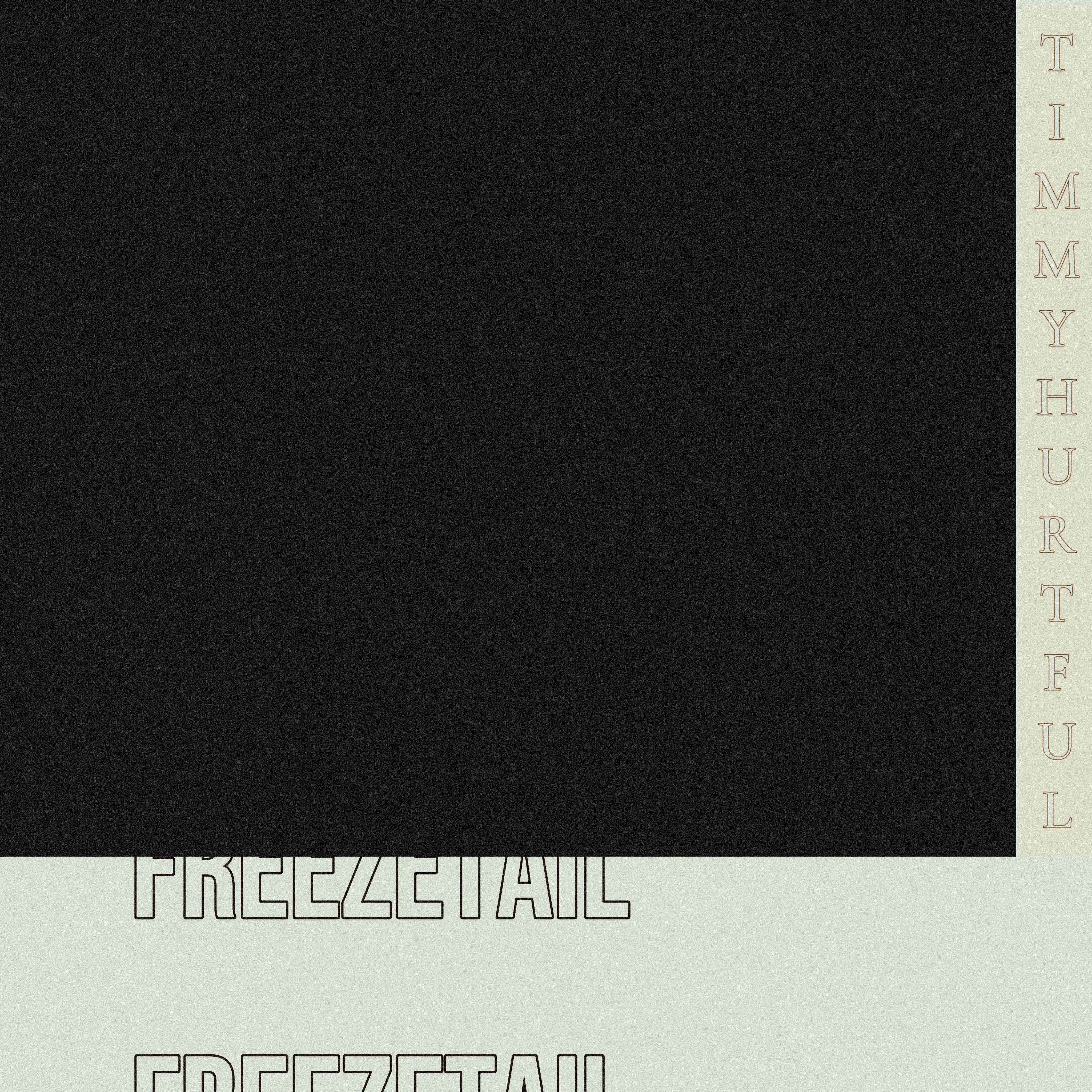 Постер альбома Freeztail