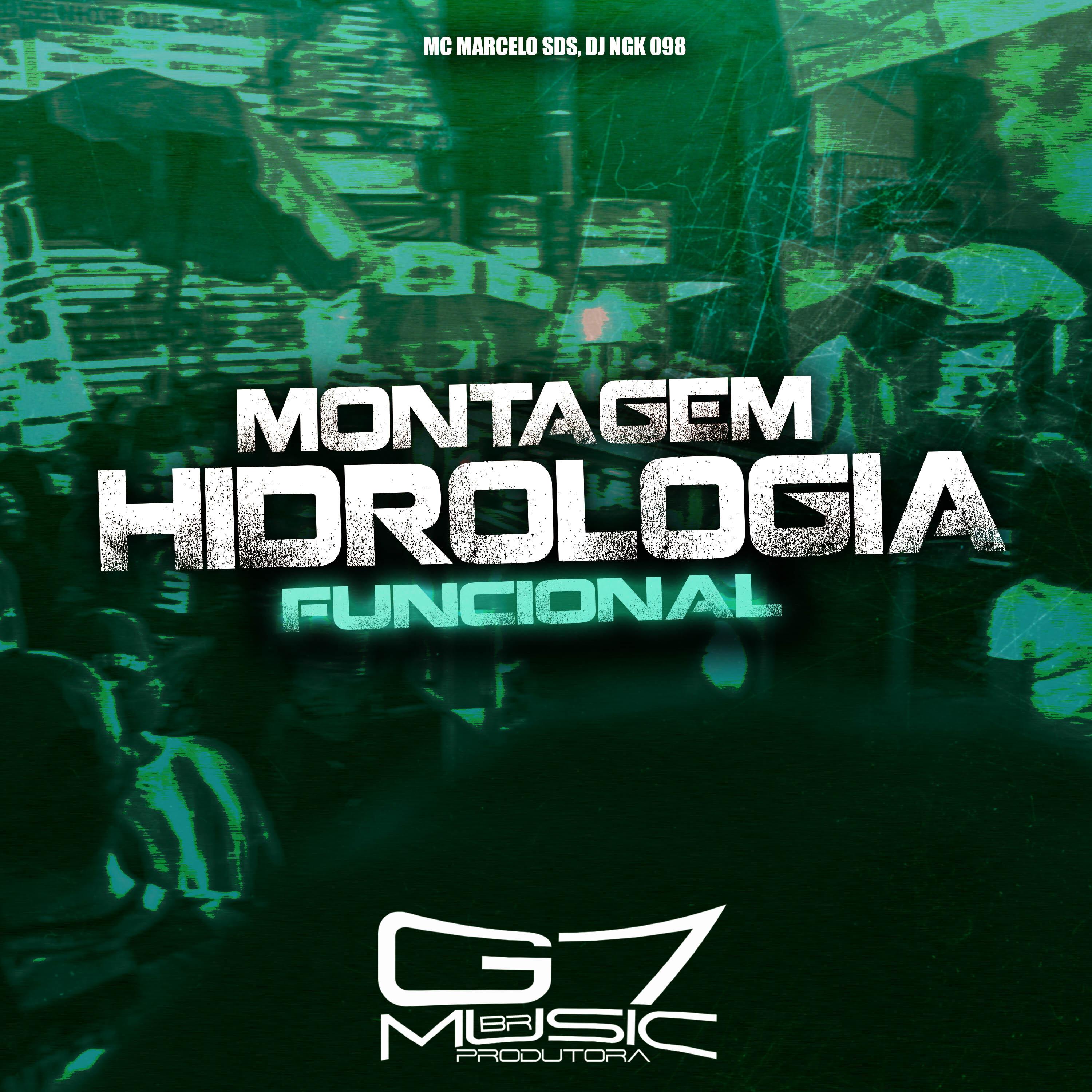 Постер альбома Montagem Hidrologia Funcional