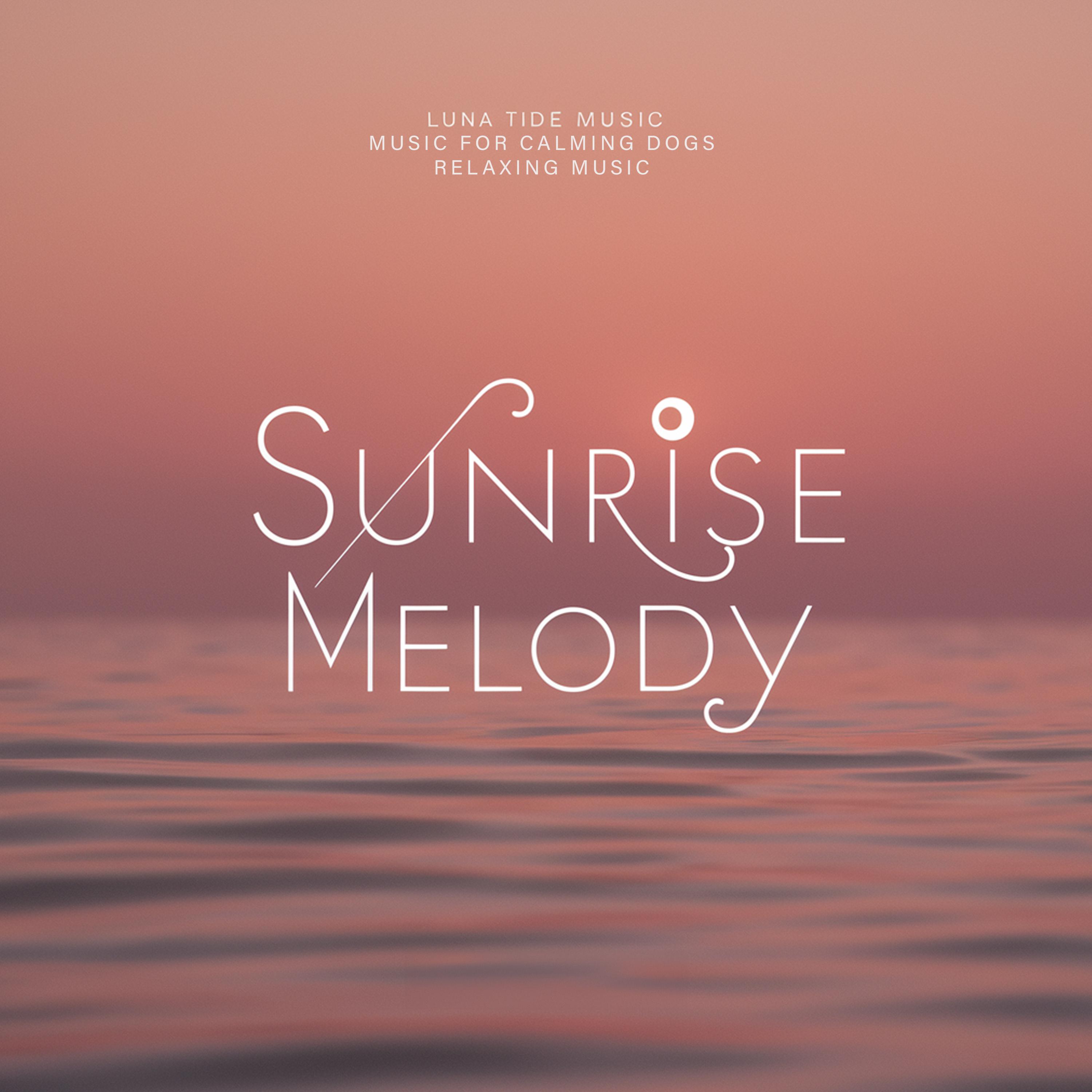 Постер альбома Sunrise Melody