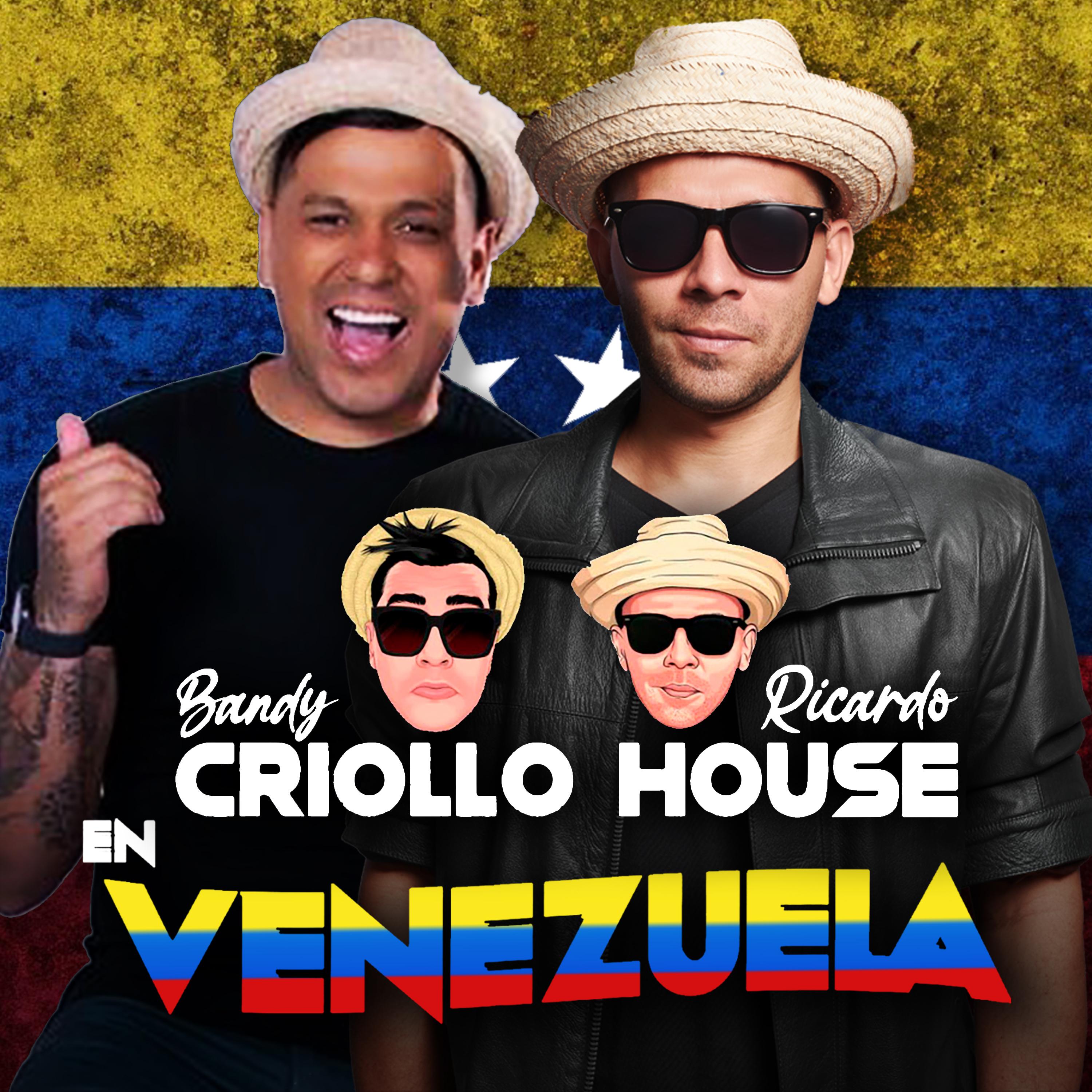 Постер альбома En Venezuela