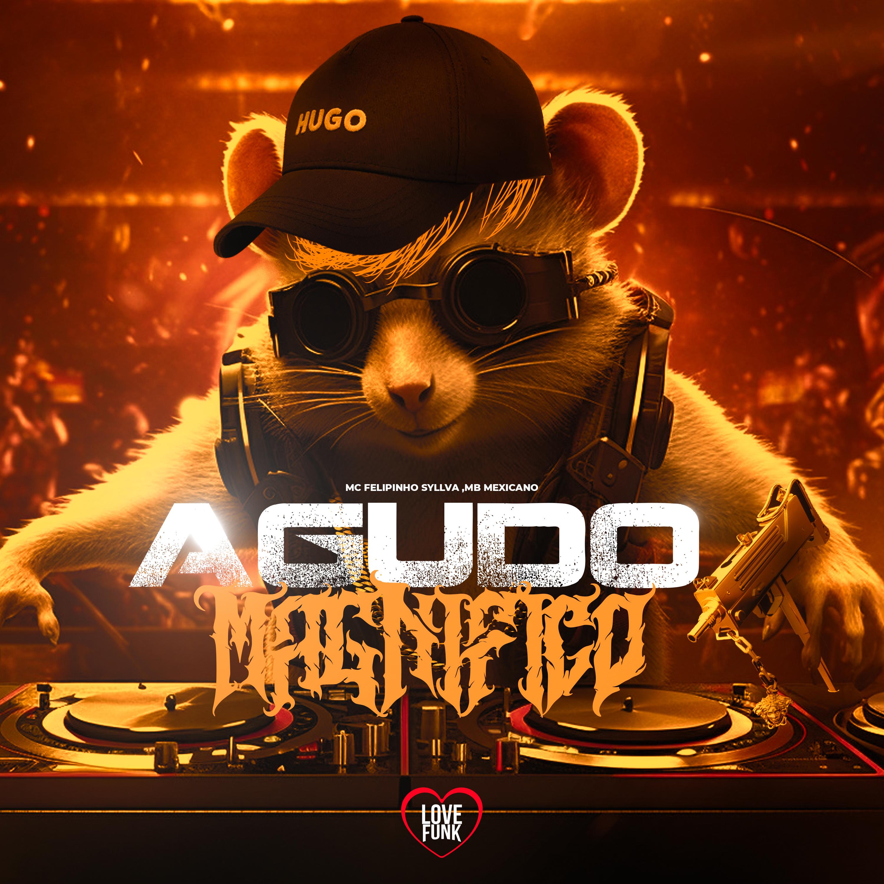 Постер альбома Agudo Magnífico