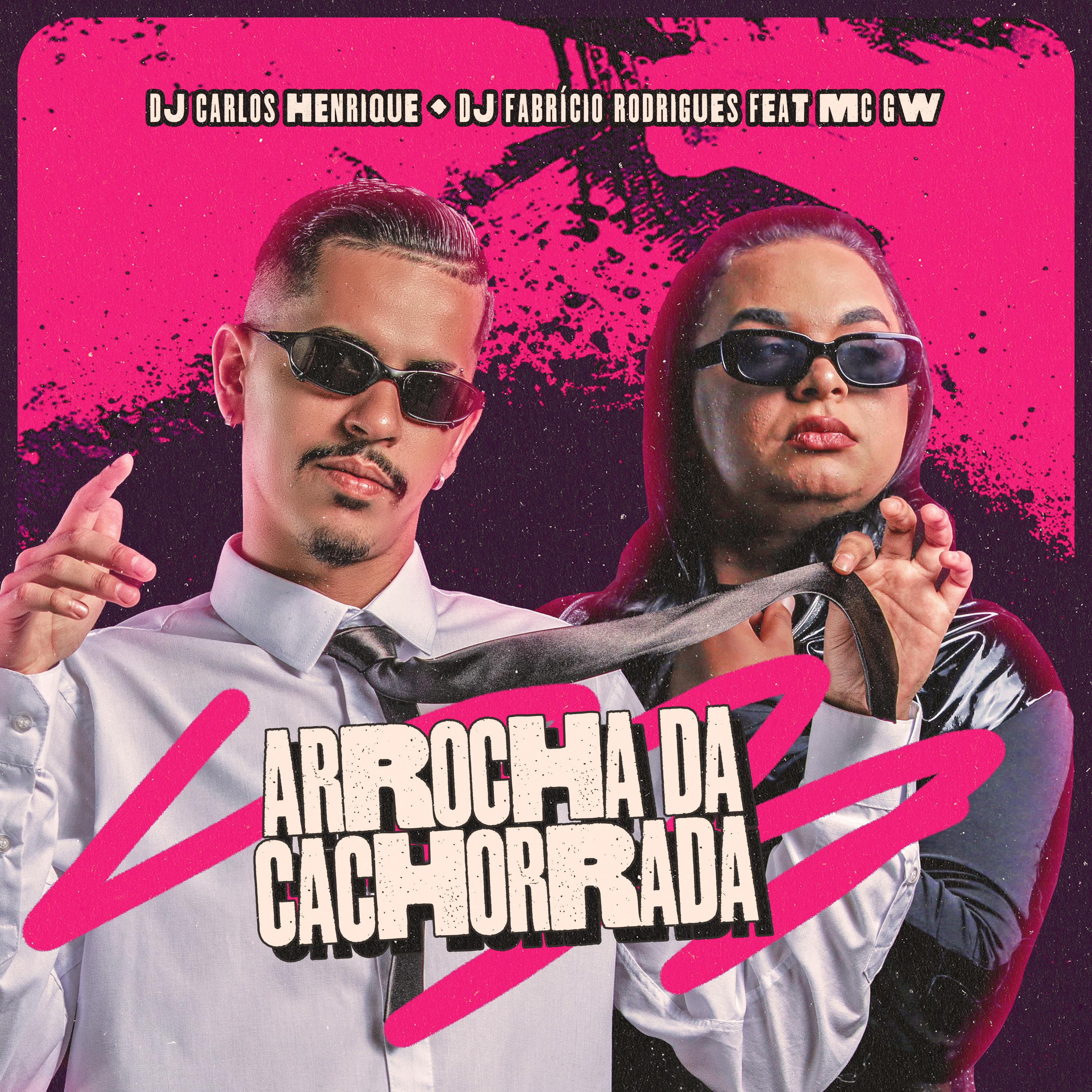 Постер альбома Arrocha da Cachorrada