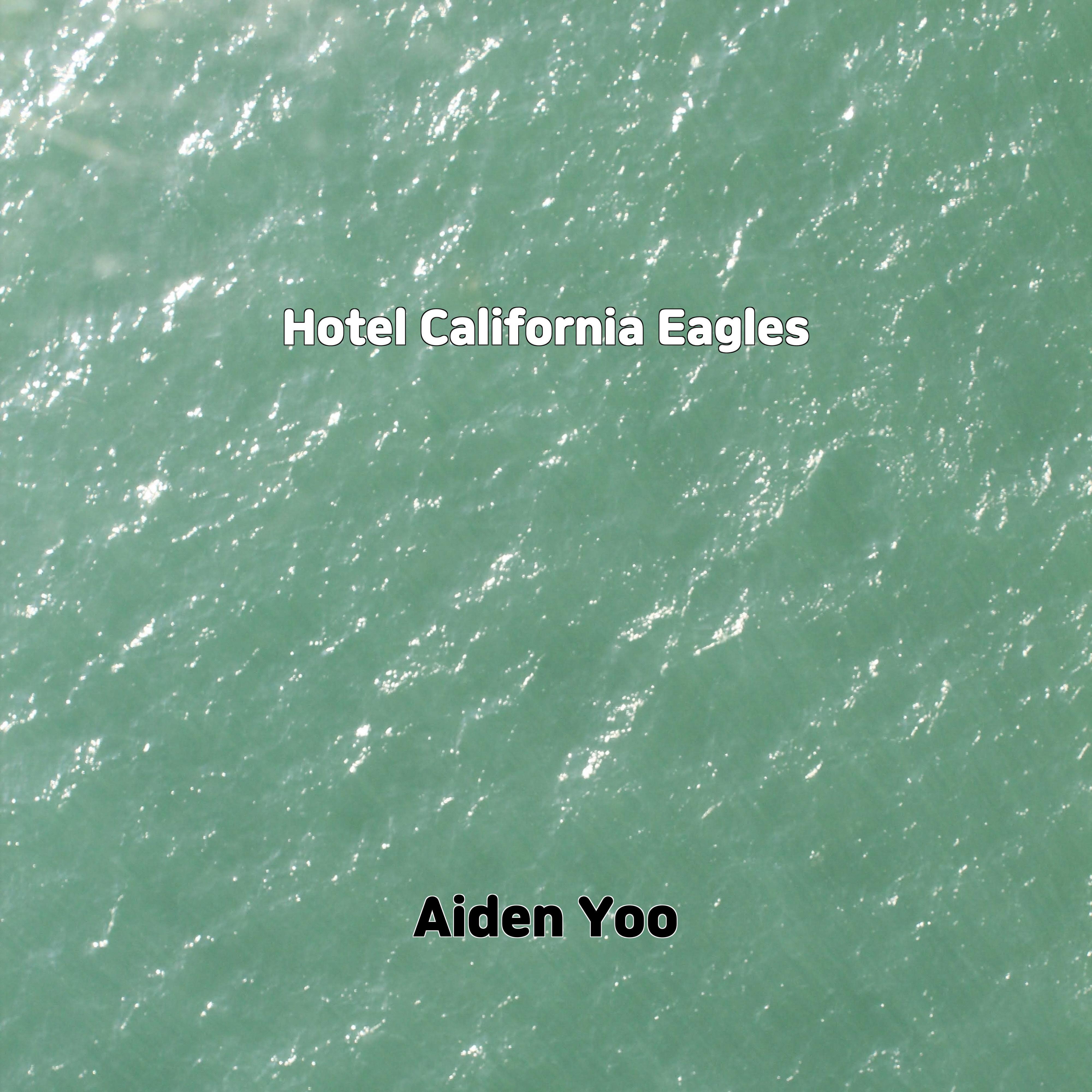 Постер альбома Hotel California Eagles