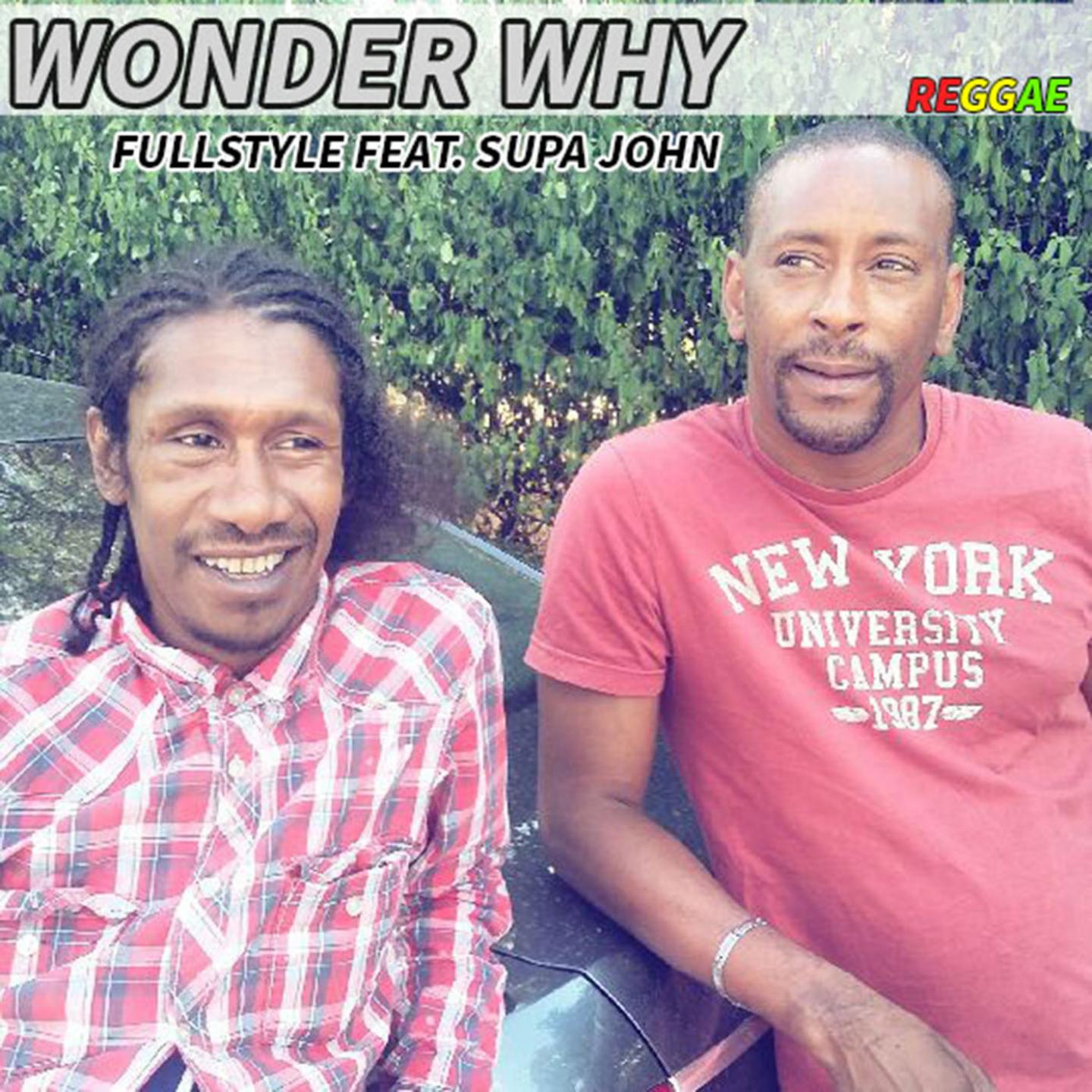 Постер альбома Wonder Why