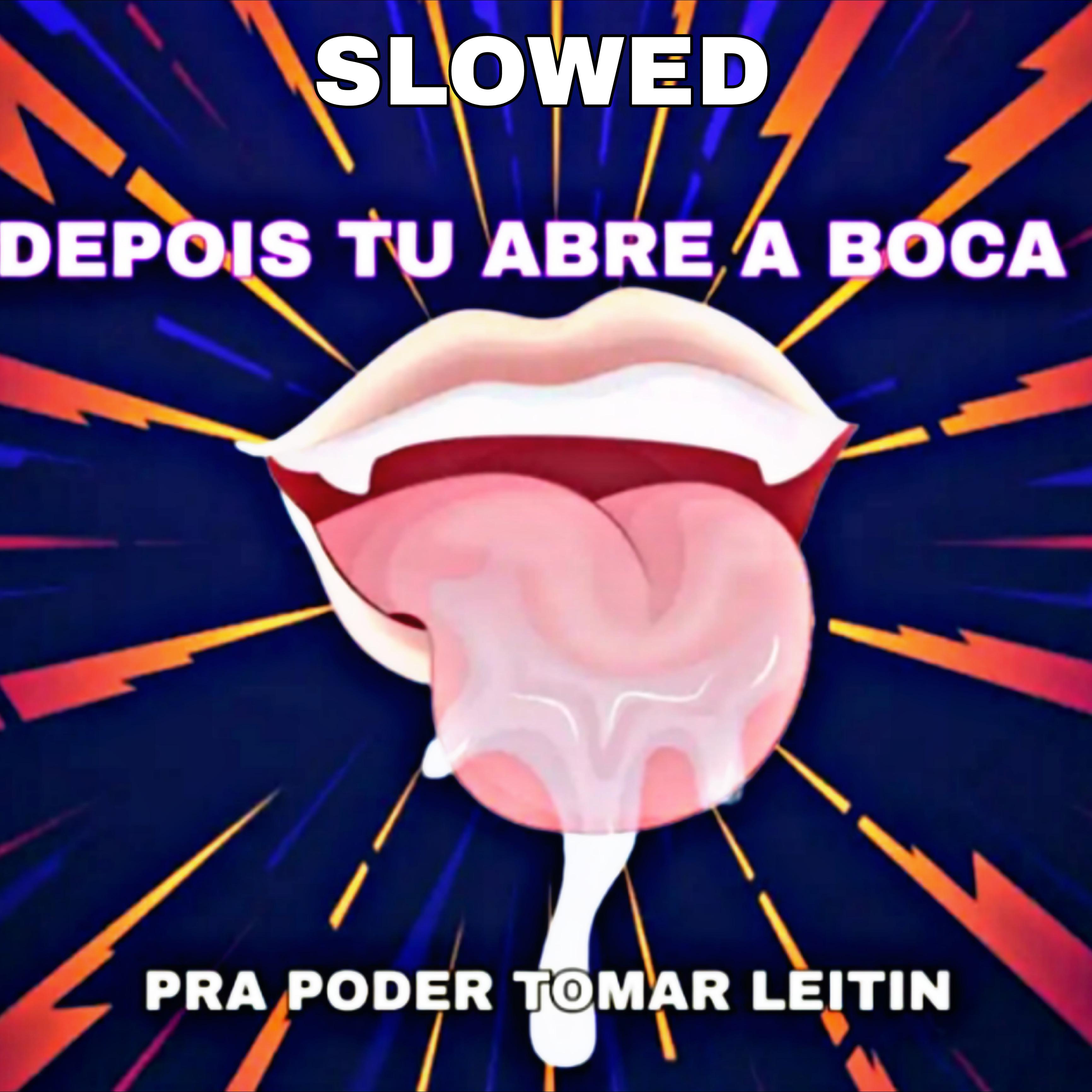 Постер альбома Depois Tu Abre a Boca pra Poder Tomar Leitin(Slowed)