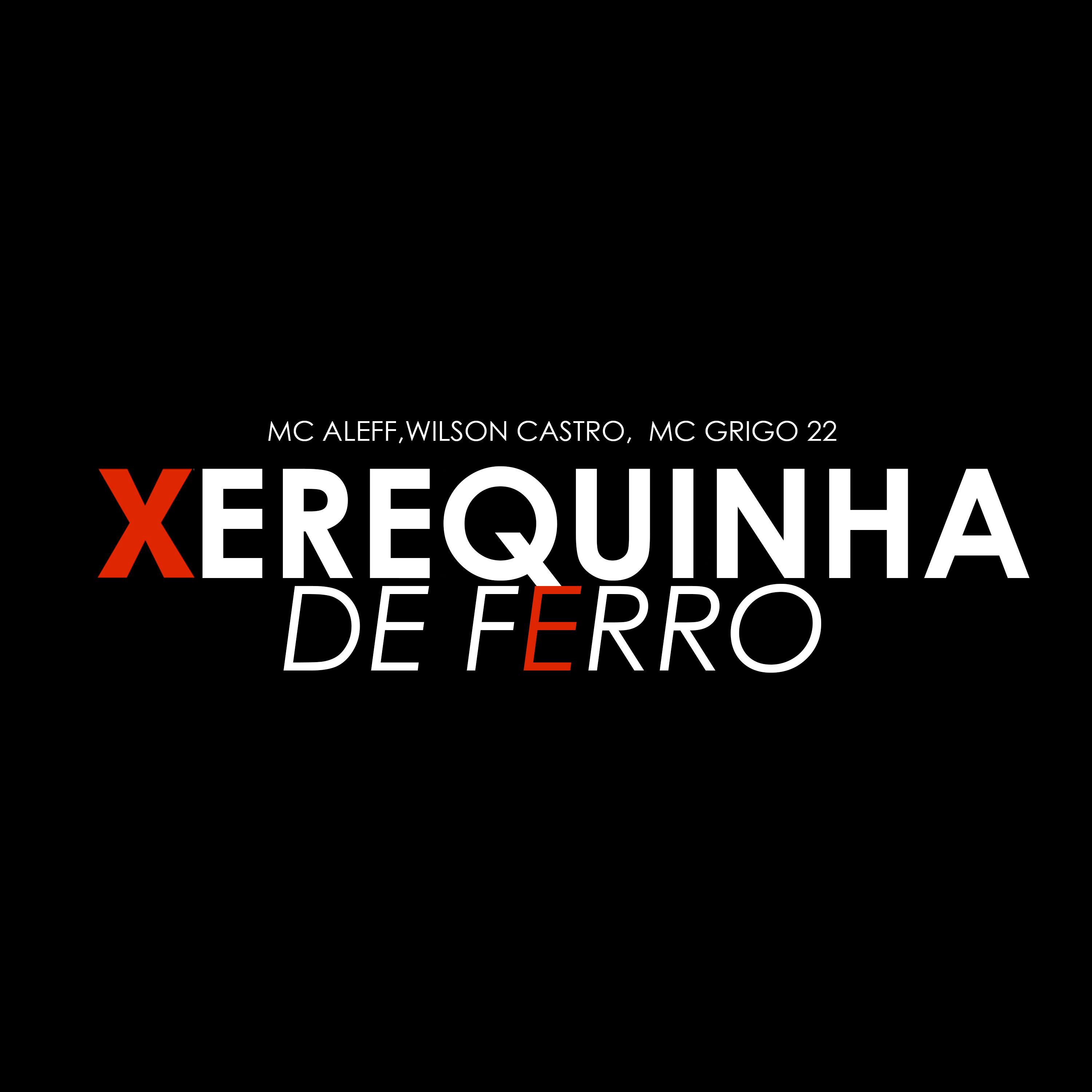 Постер альбома Xerequinha de Ferro