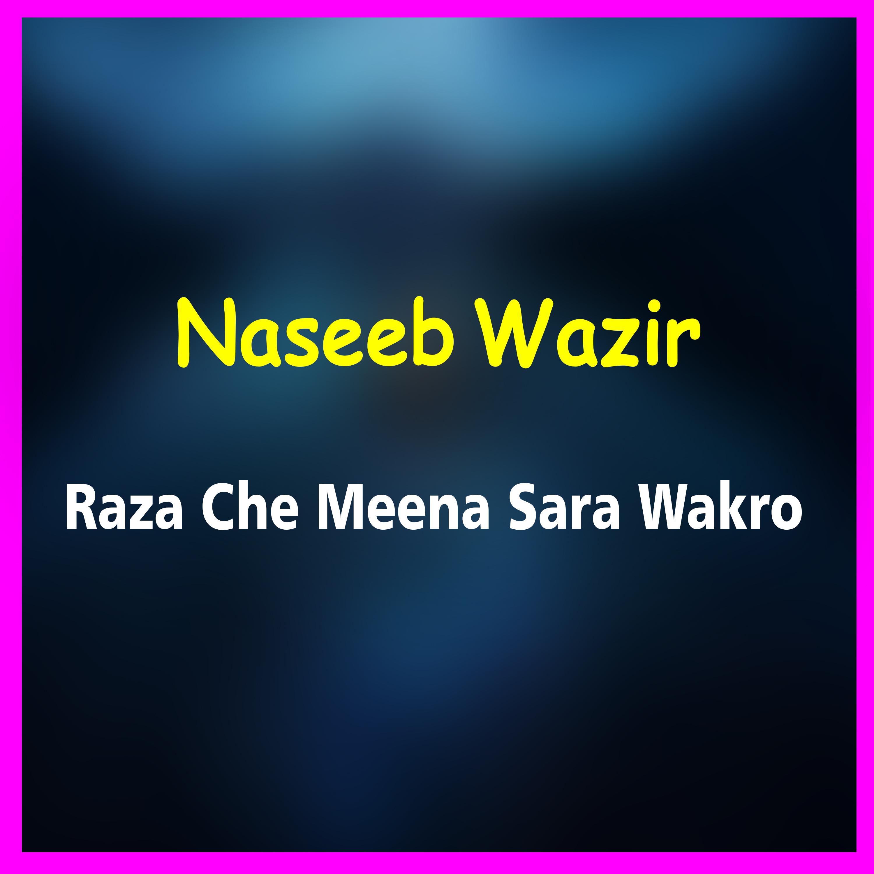 Постер альбома Raza Che Meena Sara Wakro