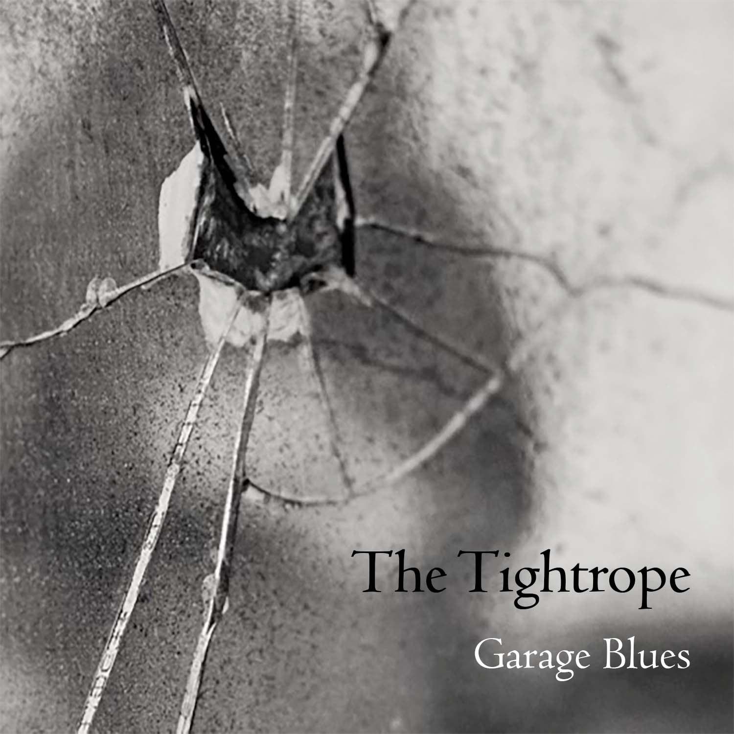 Постер альбома Garage Blues