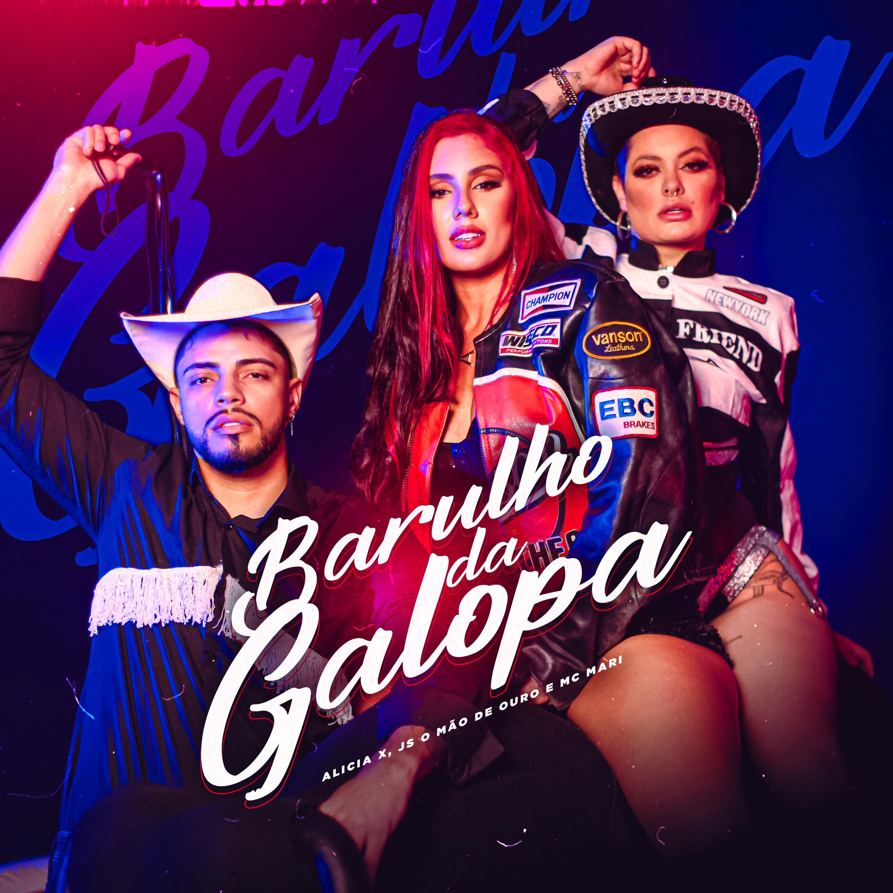 Постер альбома Barulho da Galopa