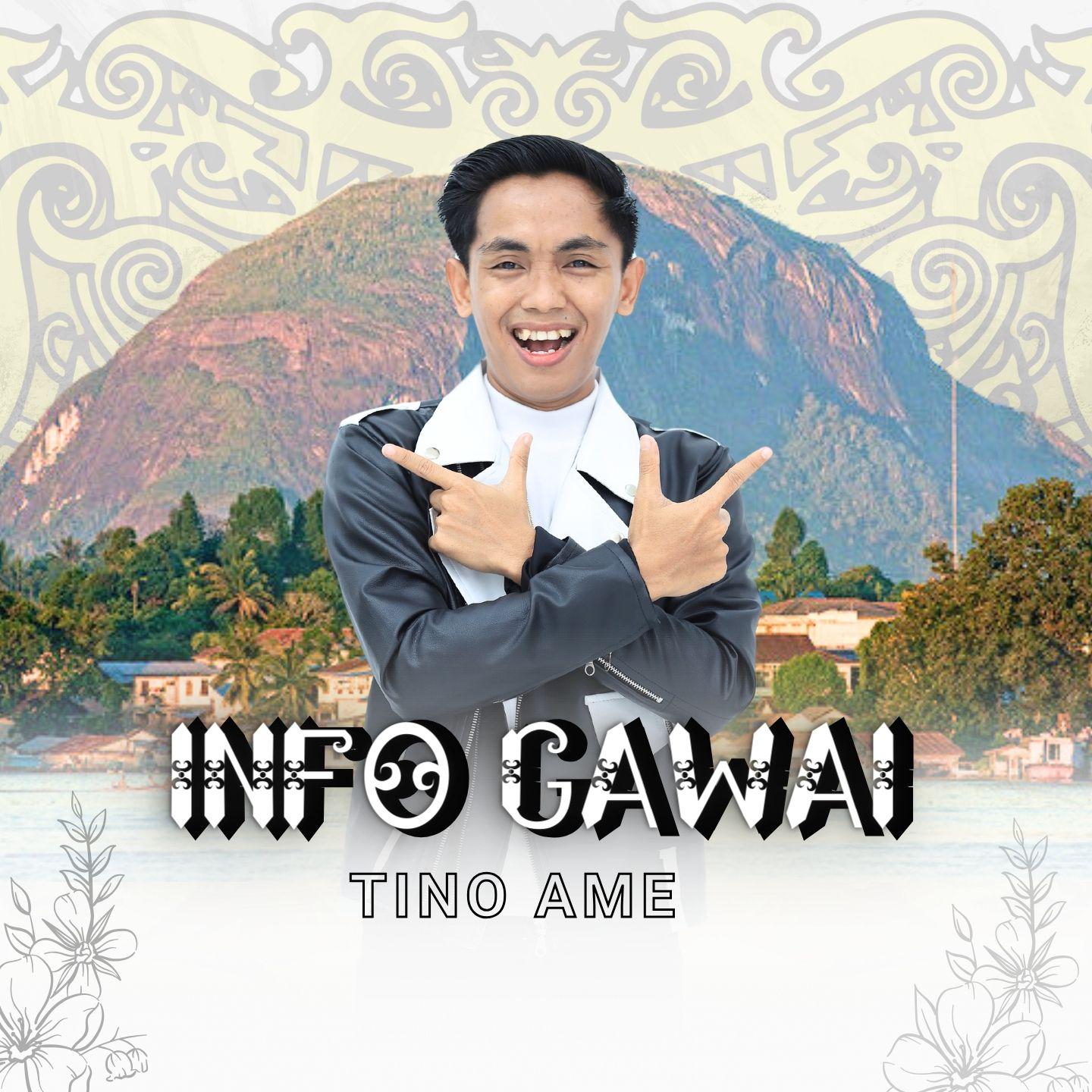 Постер альбома INFO GAWAI