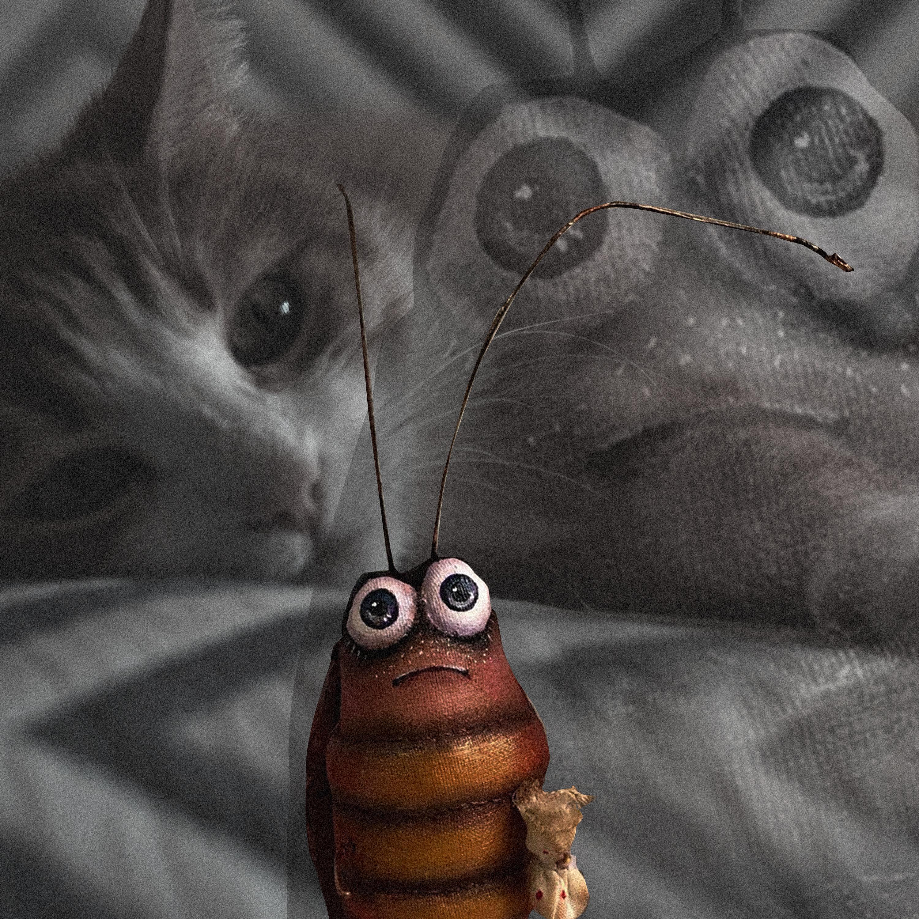 Постер альбома Мой кот съел таракана
