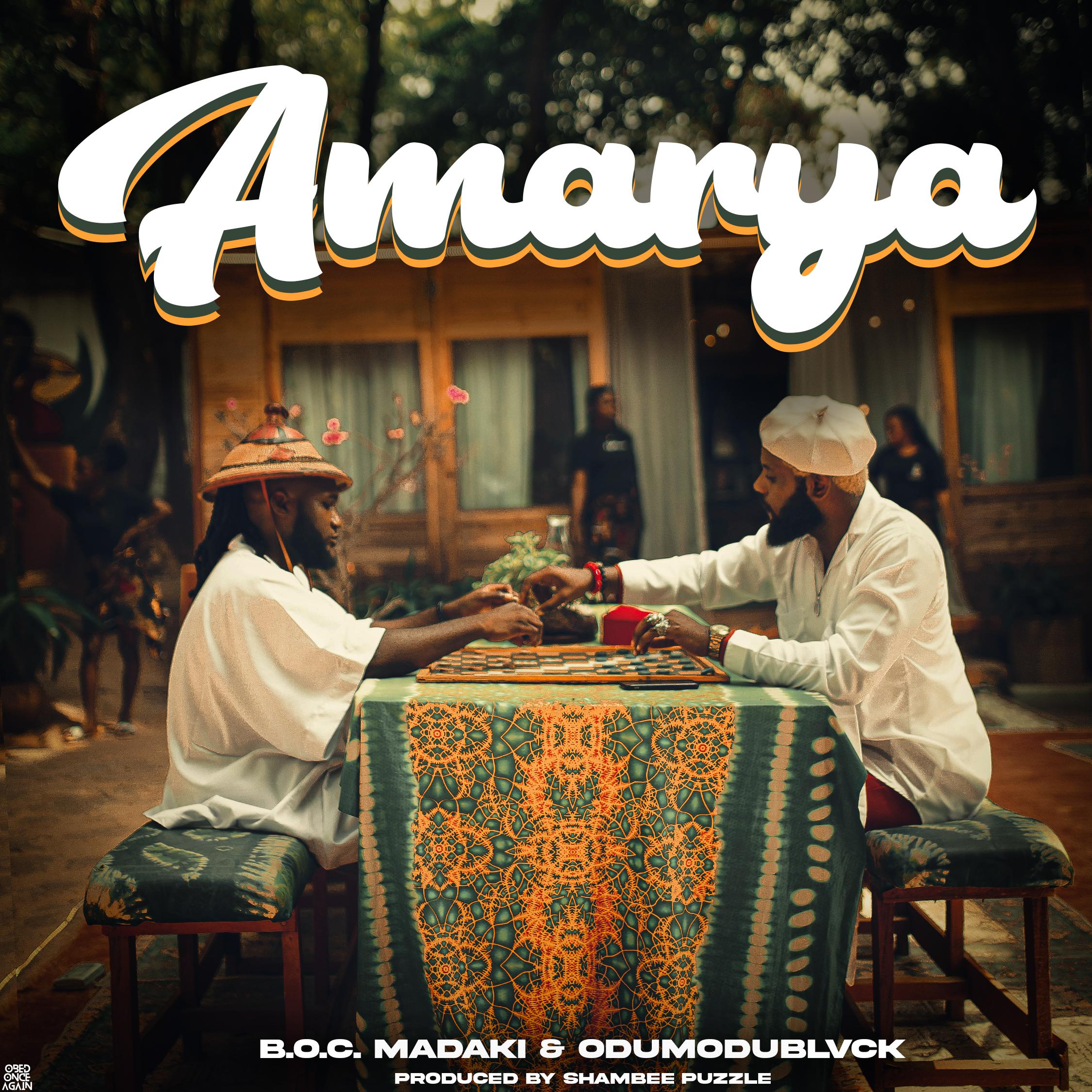 Постер альбома Amarya