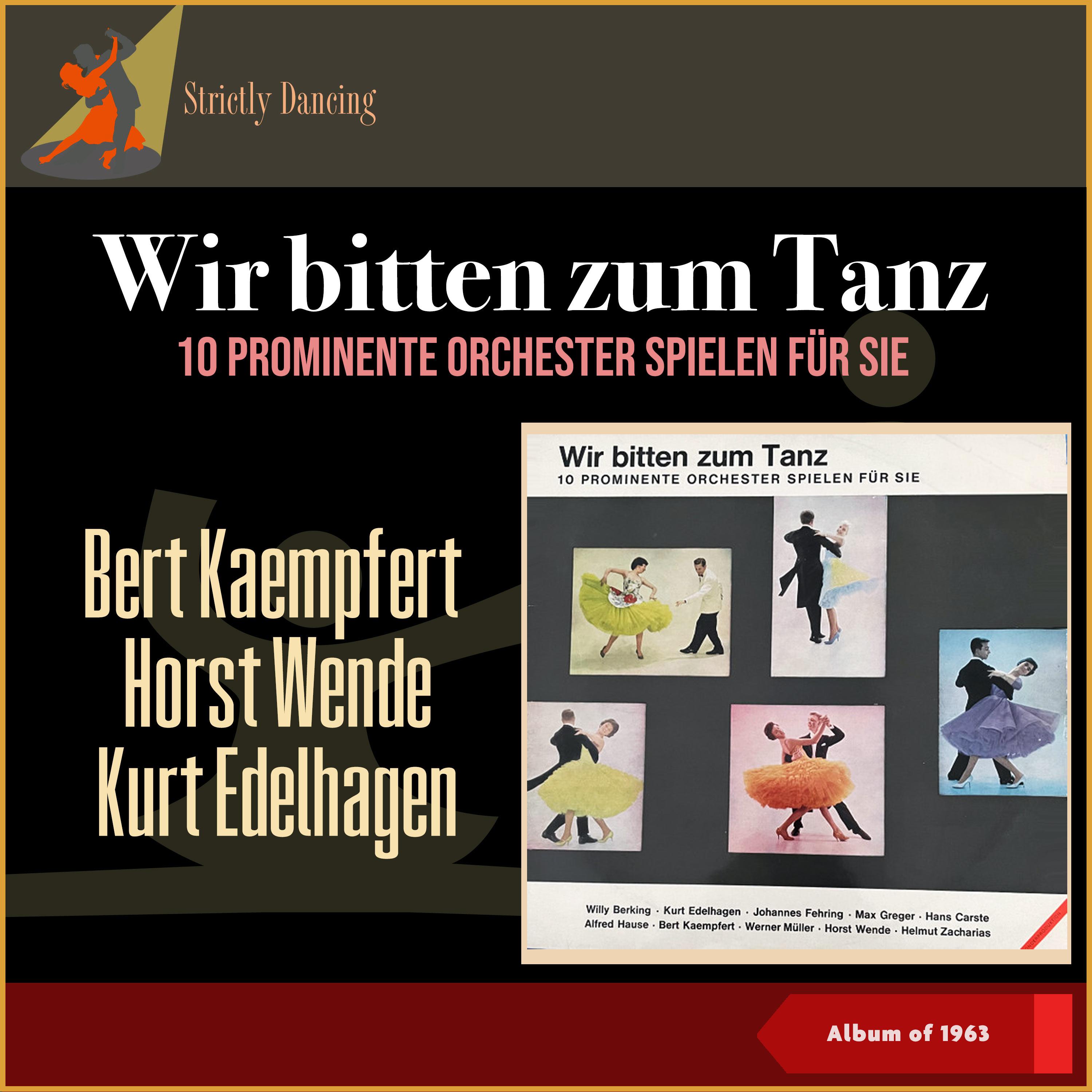 Постер альбома Wir Bitten Zum Tanz - 10 Prominente Orchester Spielen Für Sie