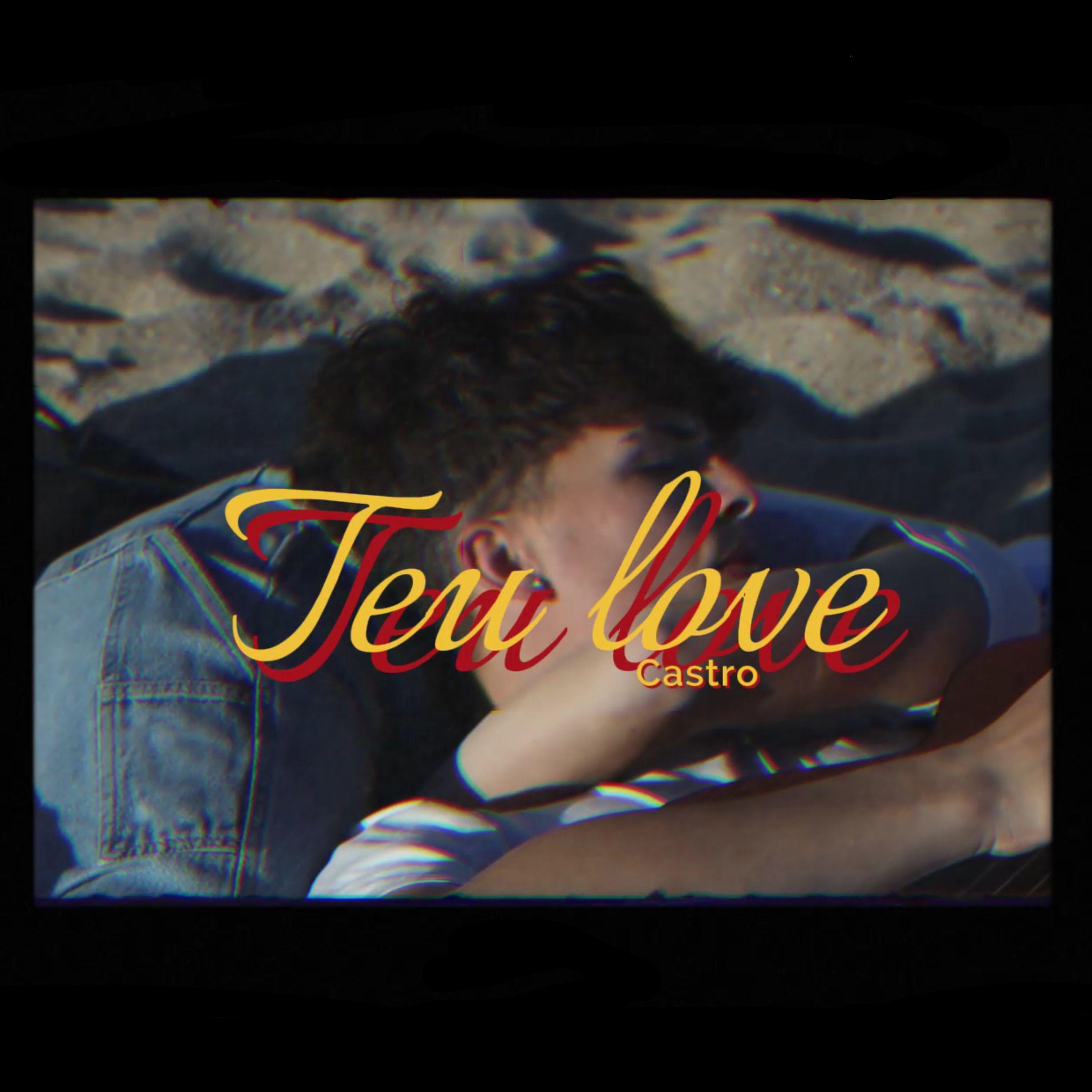 Постер альбома Teu Love