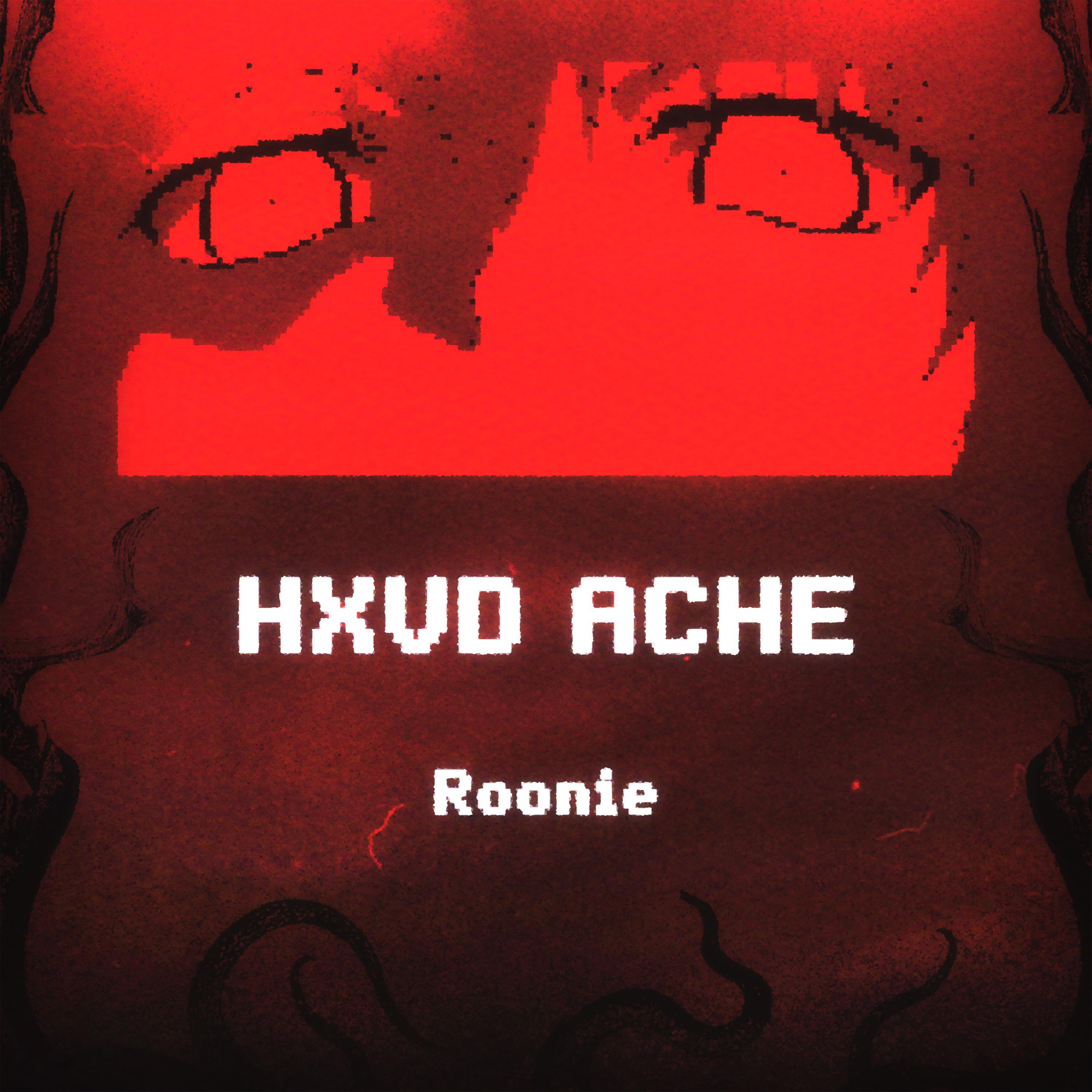 Постер альбома HXVD ACHE