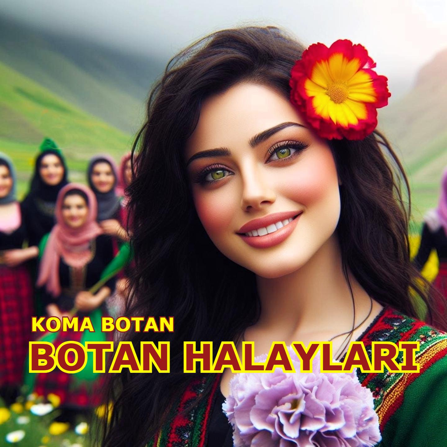 Постер альбома Botan Halayları