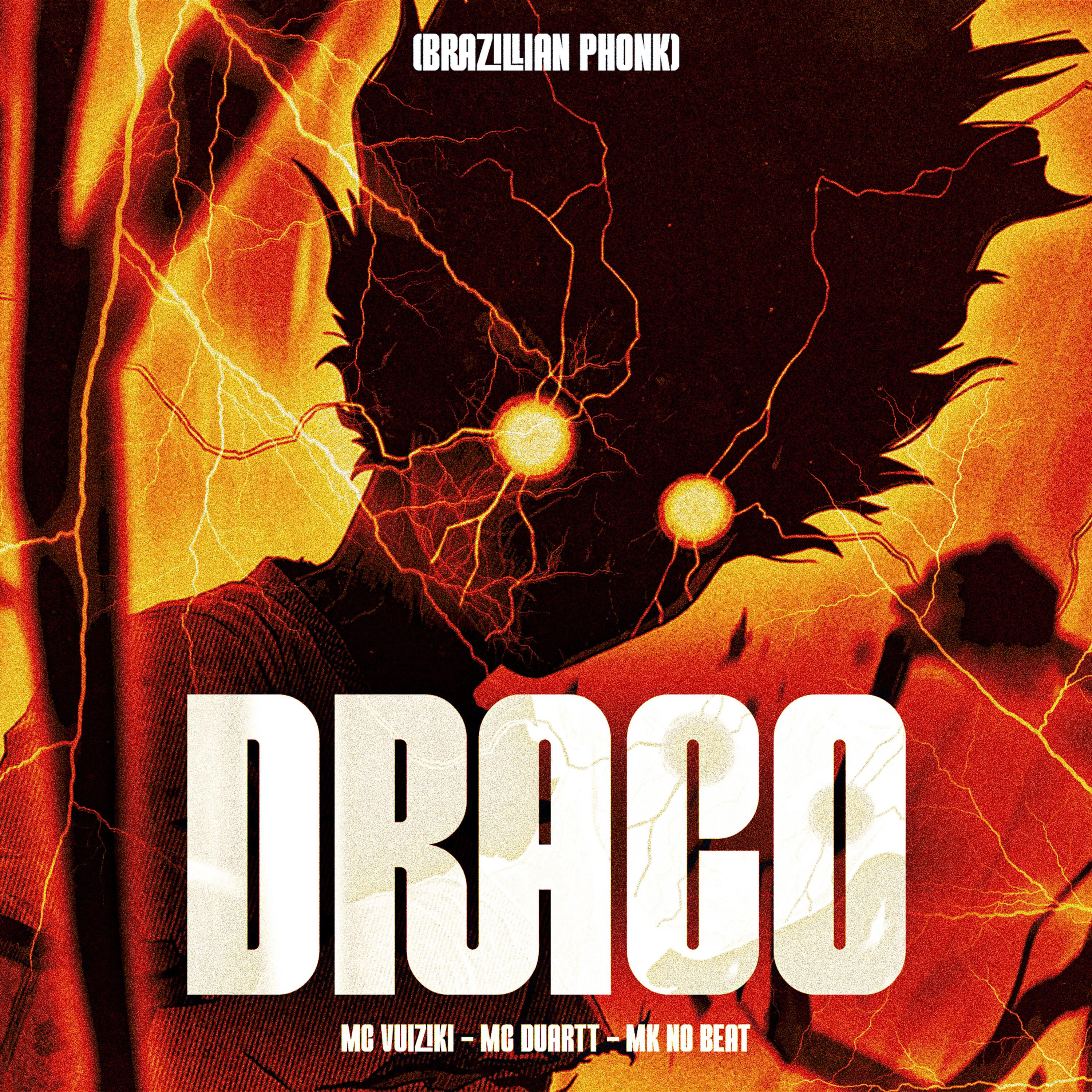Постер альбома Draco (Brazillian Phonk)