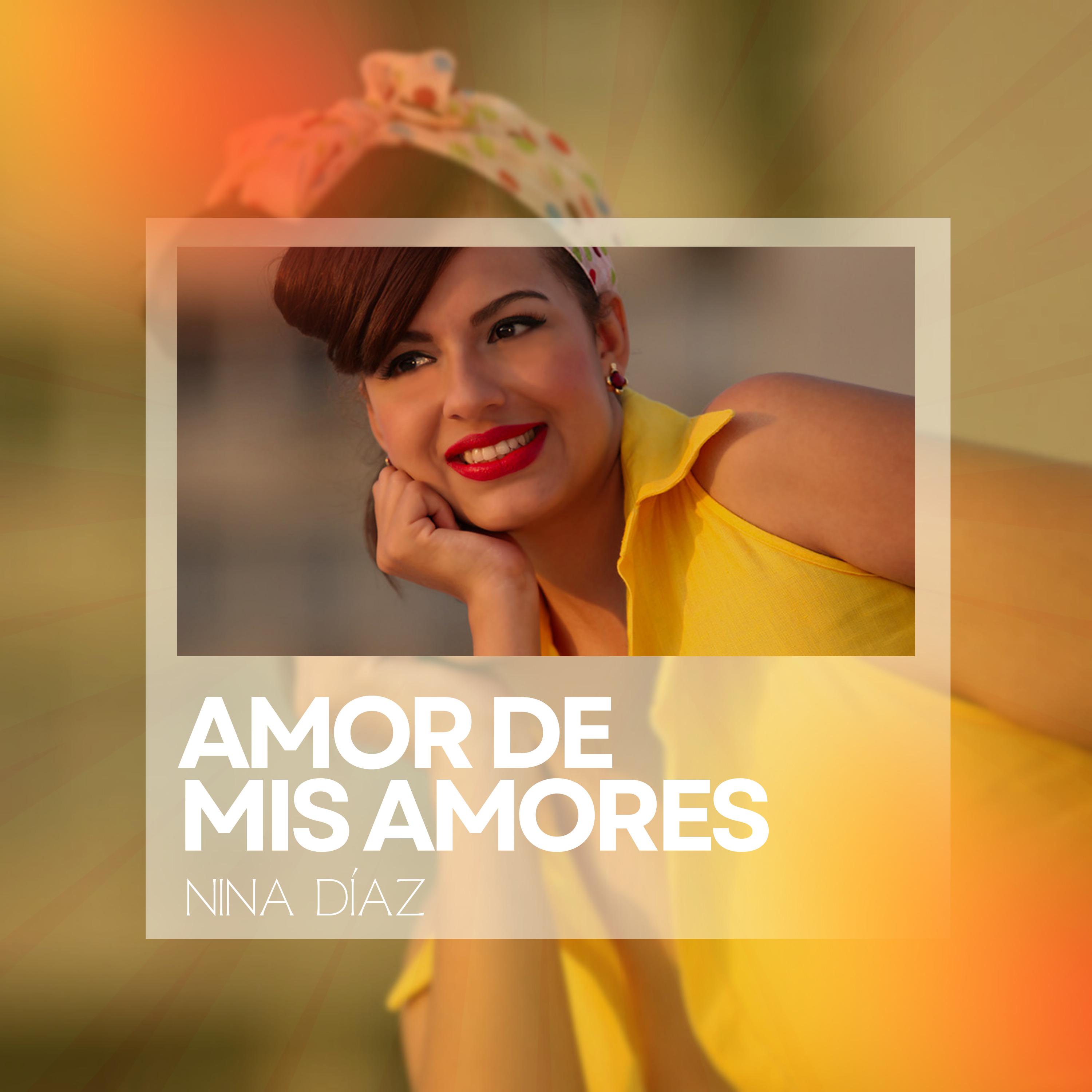 Постер альбома Amor de Mis Amores