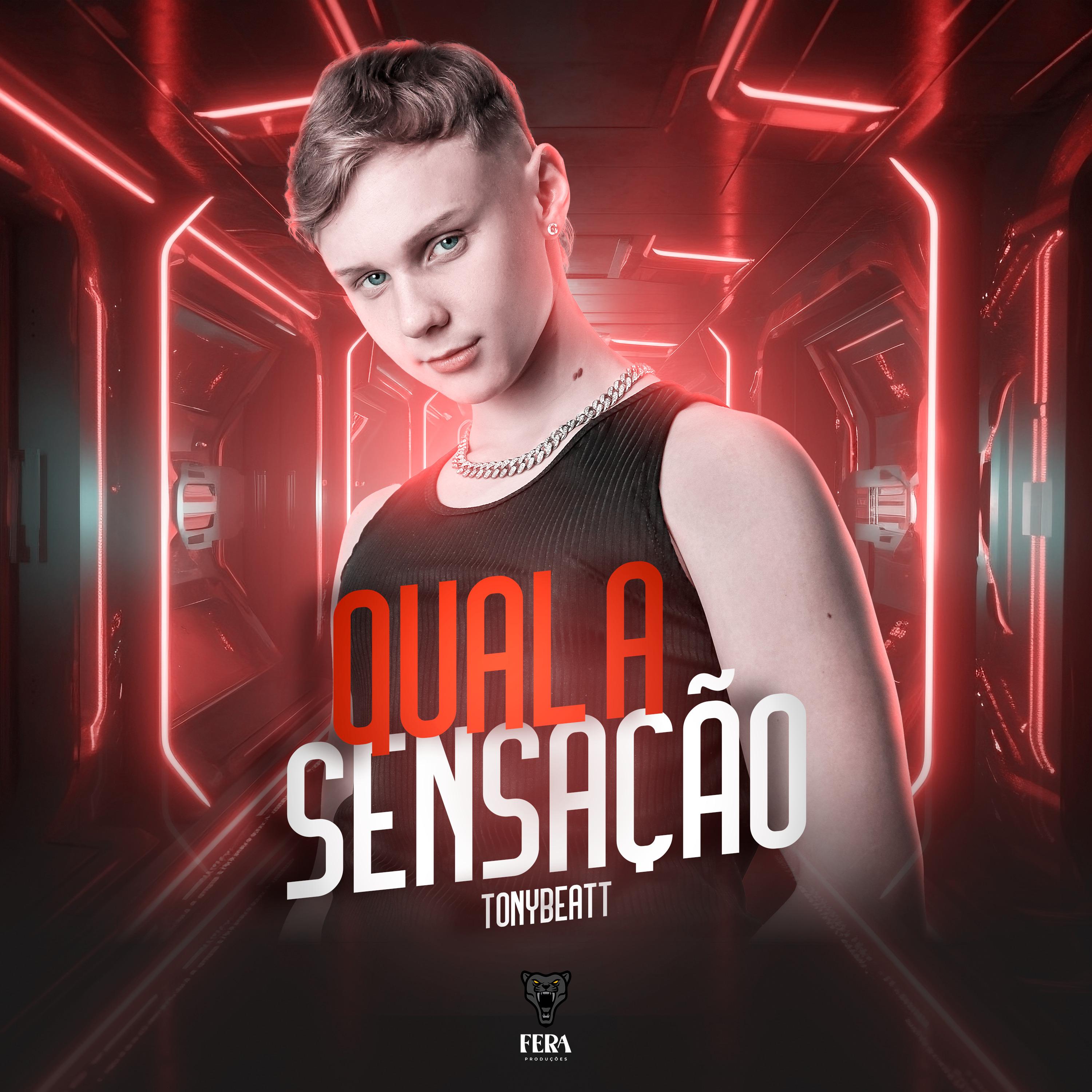 Постер альбома Qual a Sensação