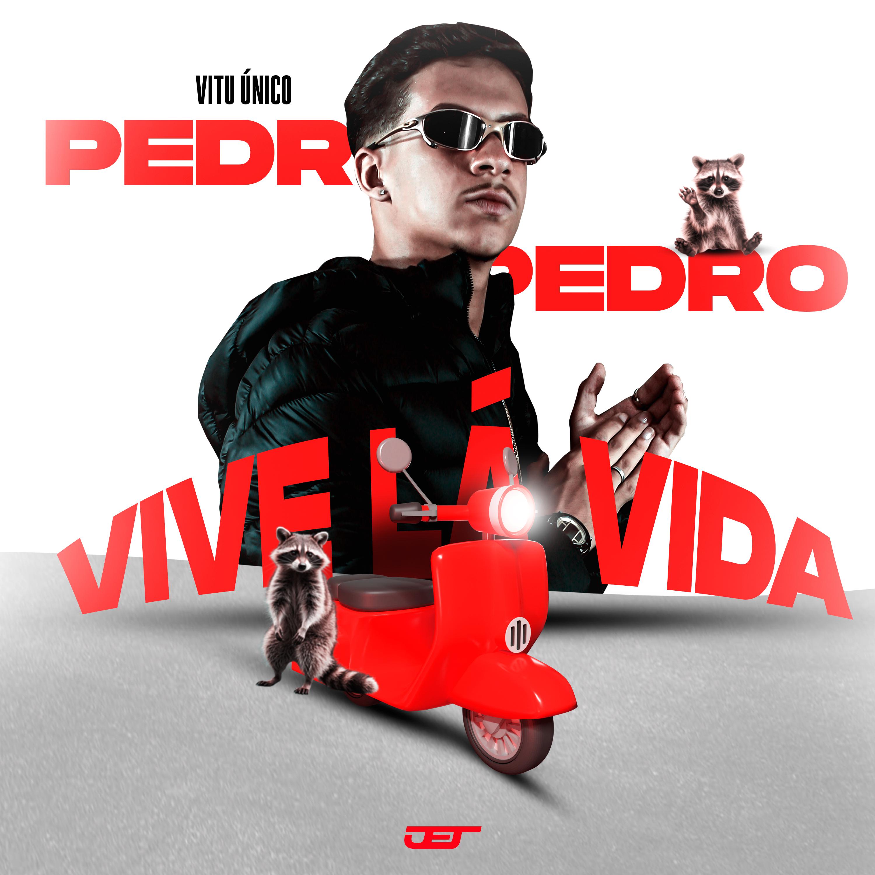 Постер альбома Mtg Pedro Vive La Vida