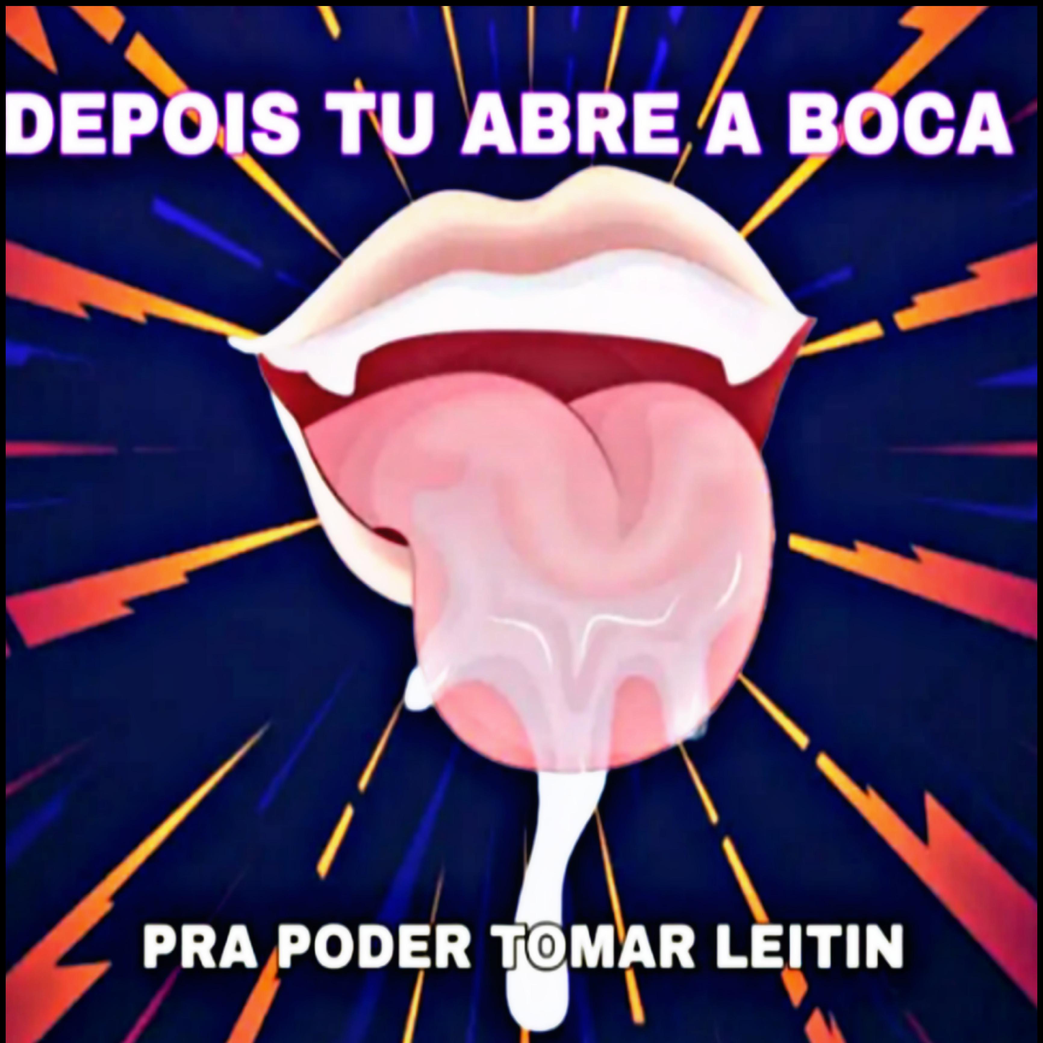 Постер альбома Depois Tu Abre a Boca pra Poder Tomar Leitin