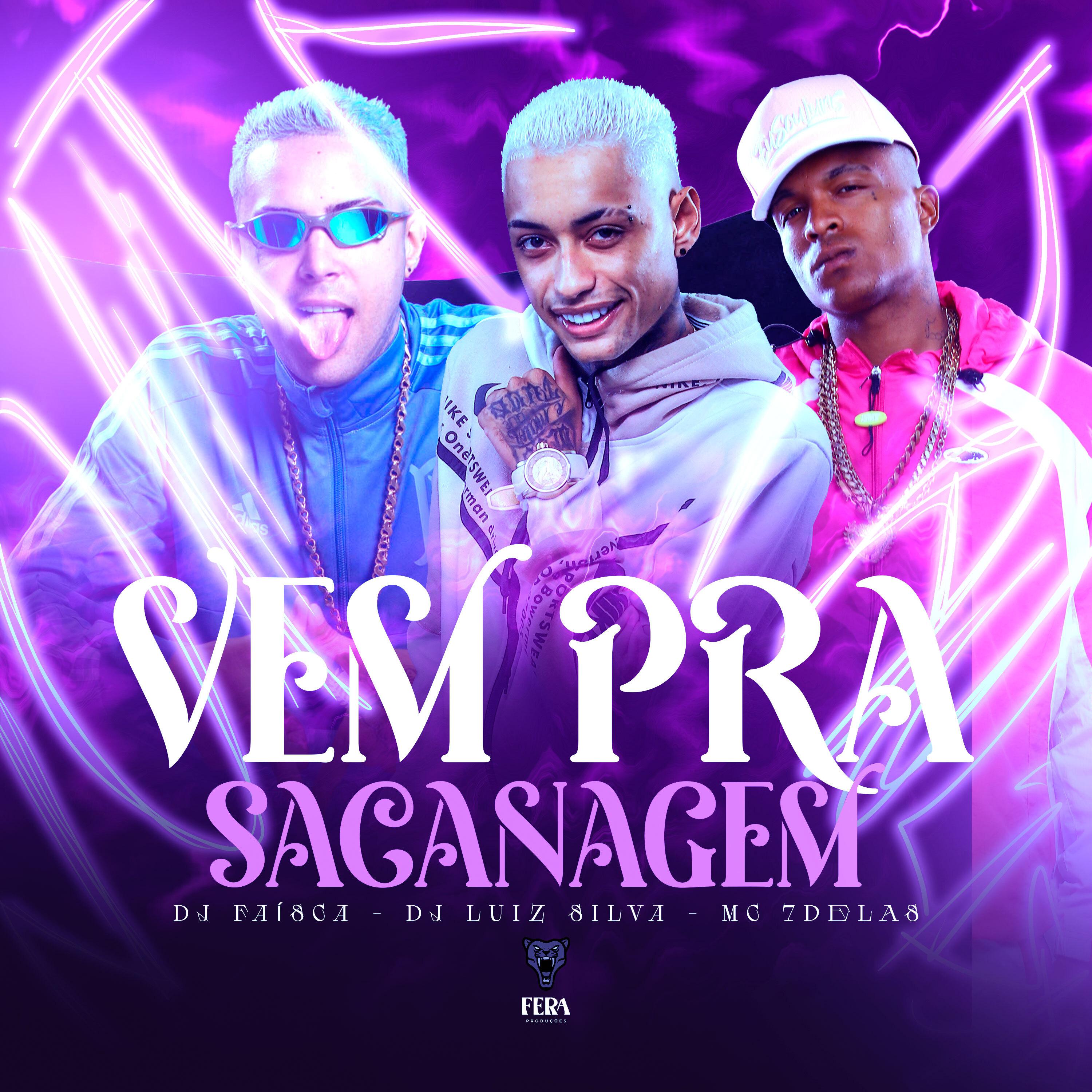 Постер альбома Vem pra Sacanagem