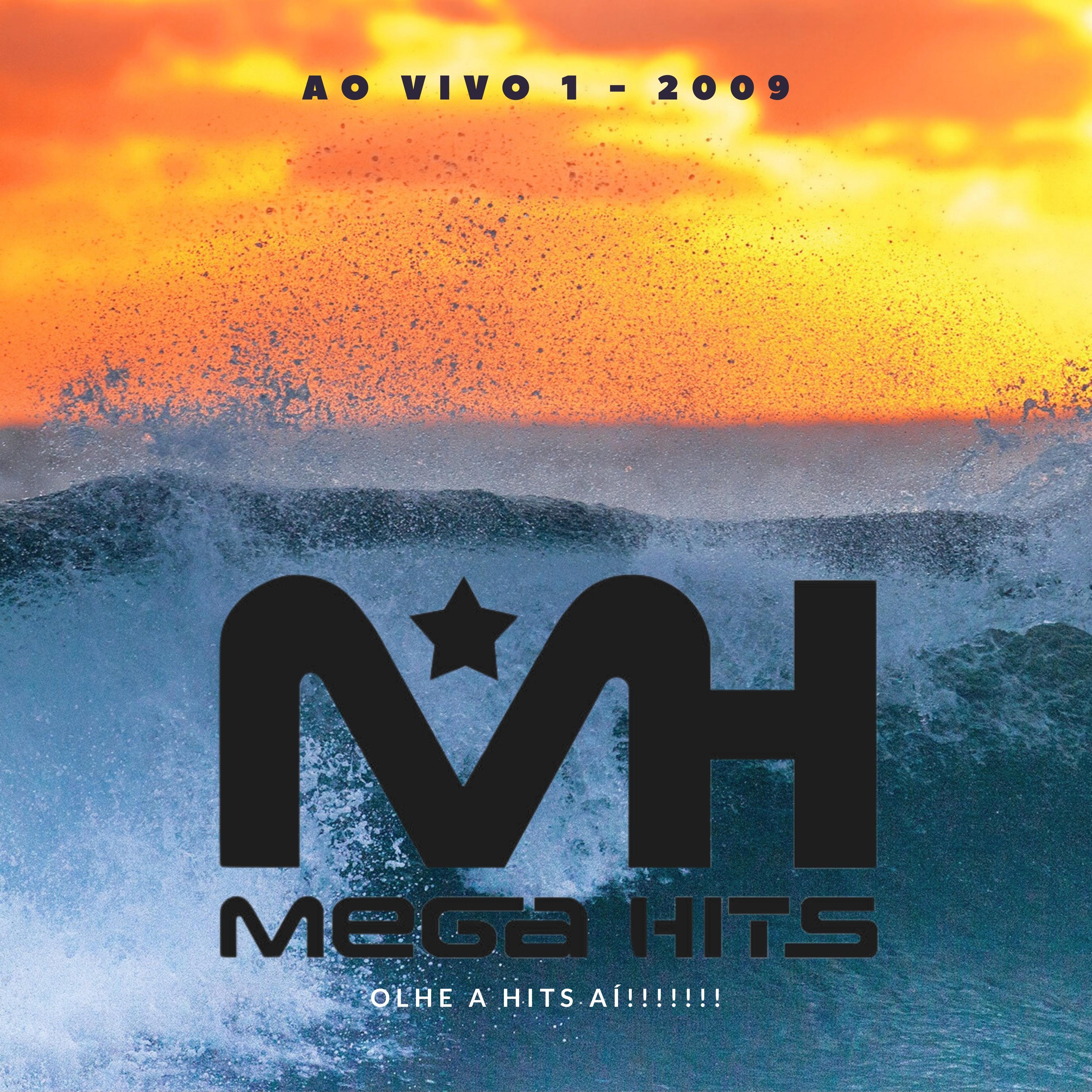 Постер альбома Ao Vivo 1 - 2009