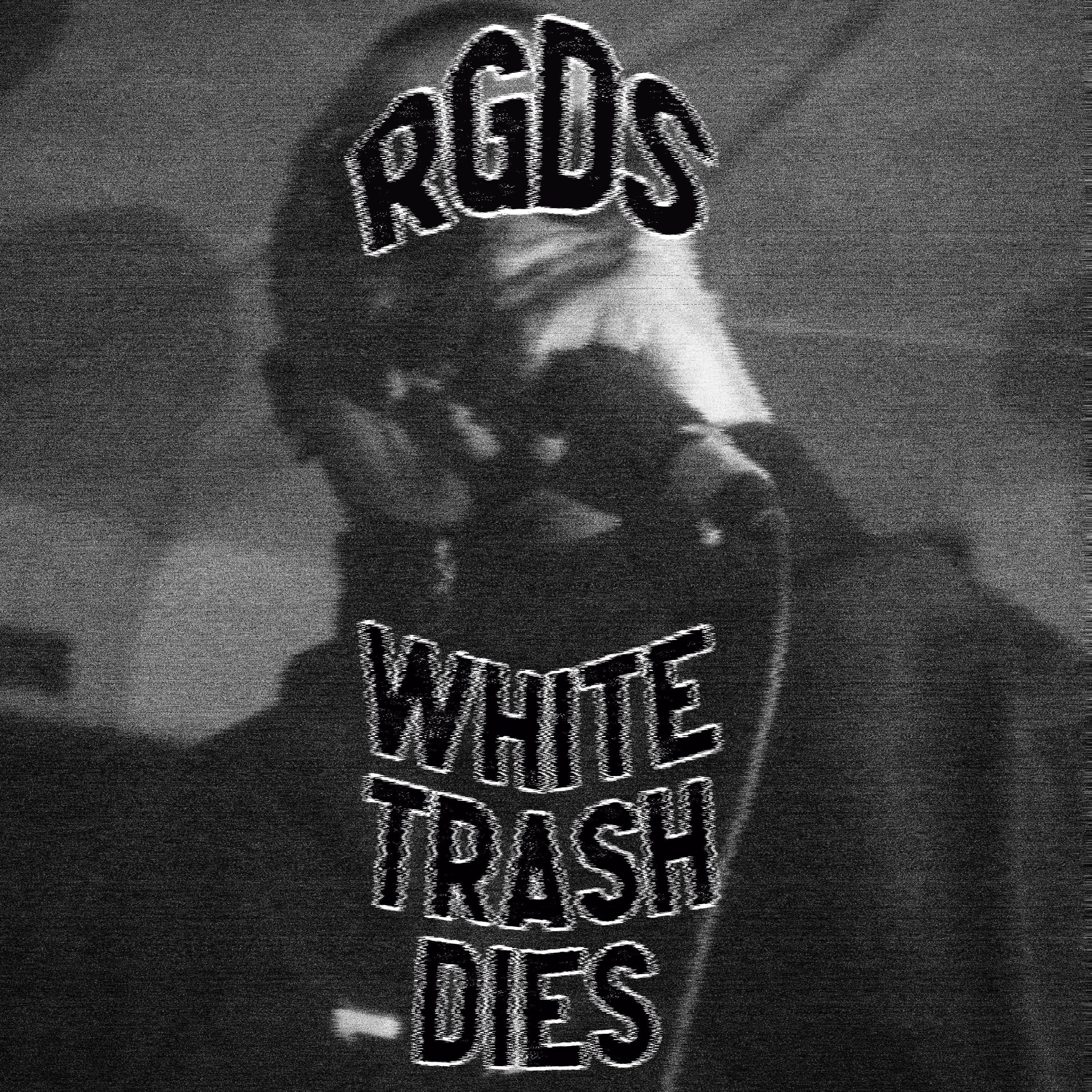 Постер альбома White trash dies