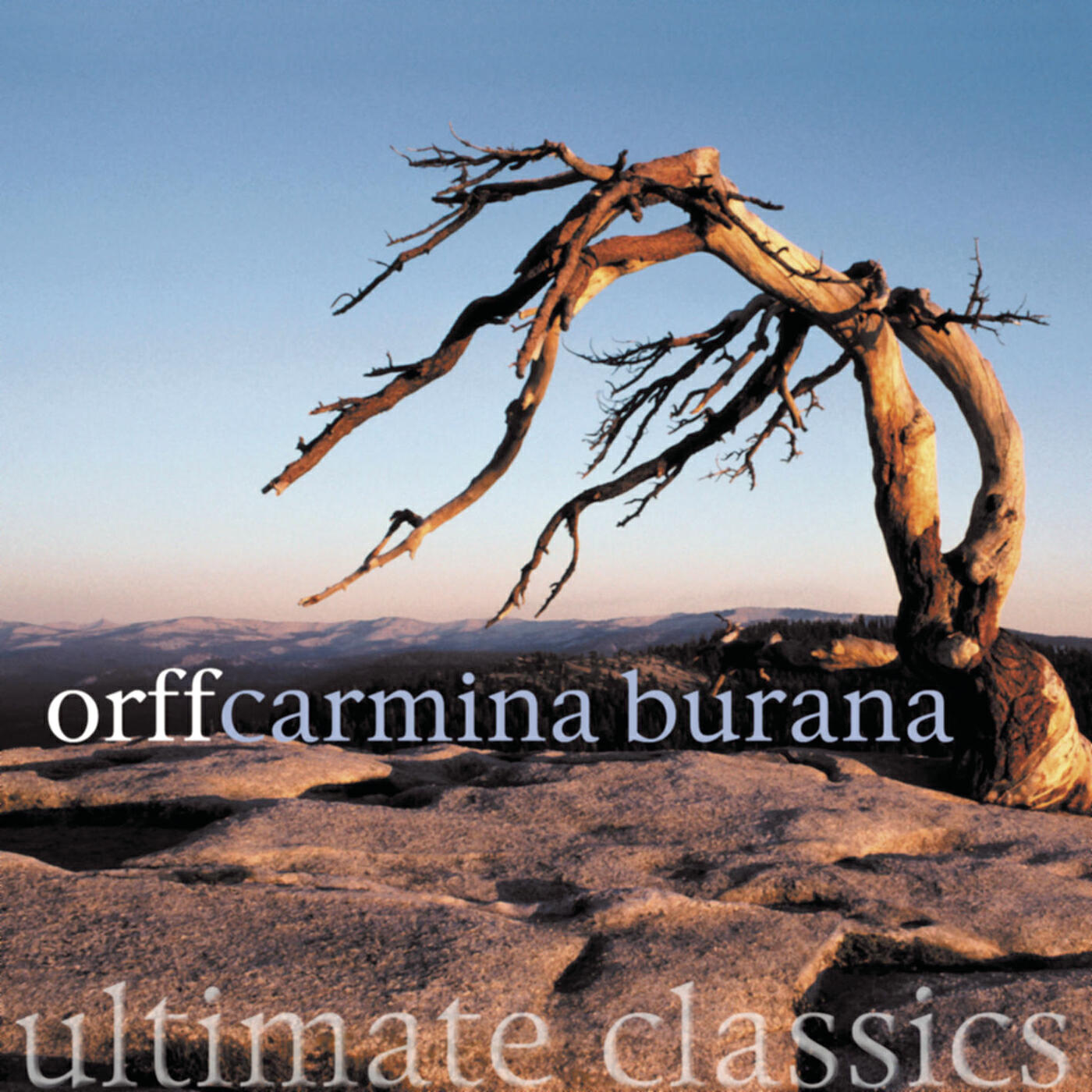 Ross Pople - Carmina Burana: Tanz