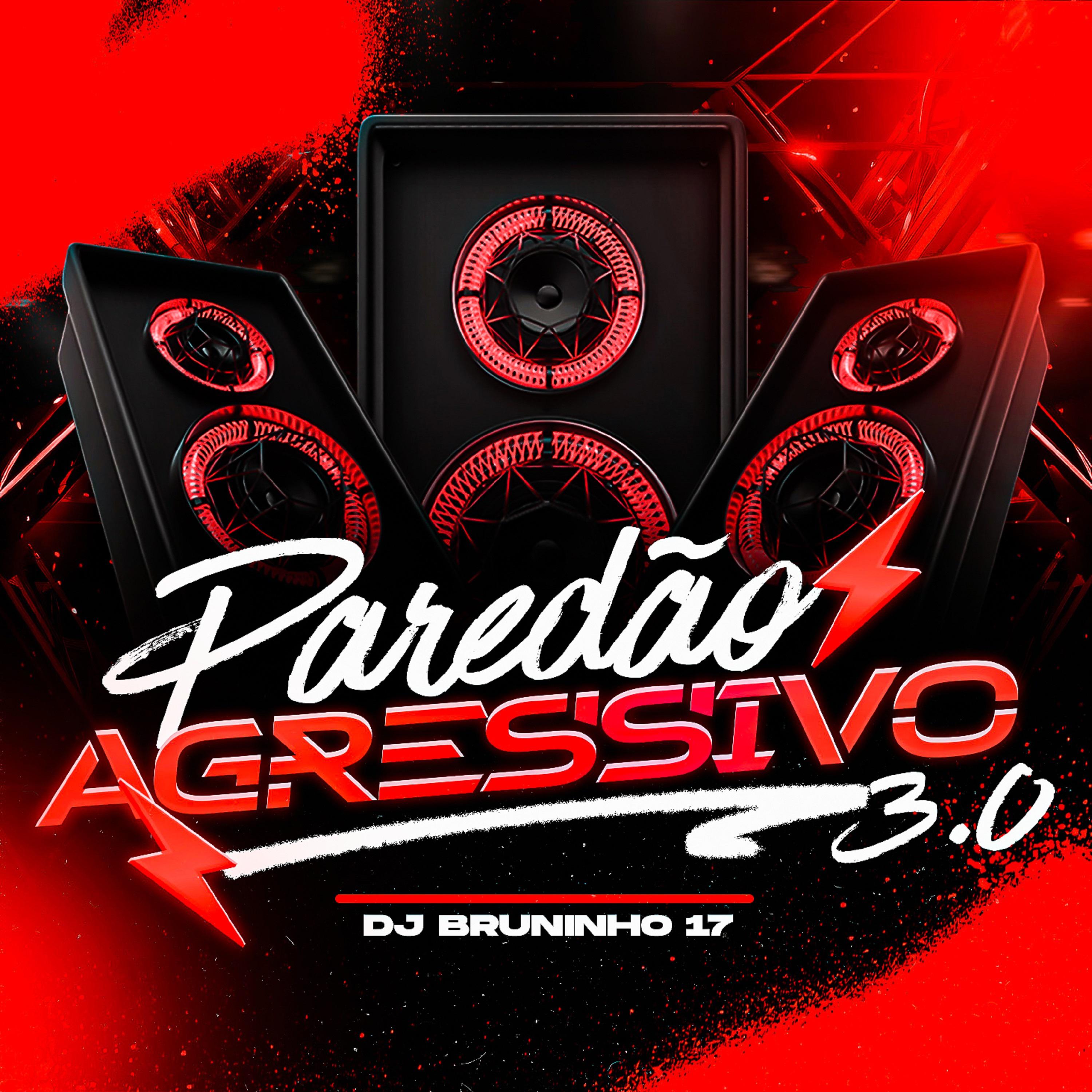 Постер альбома Paredao Agressivo 3.0