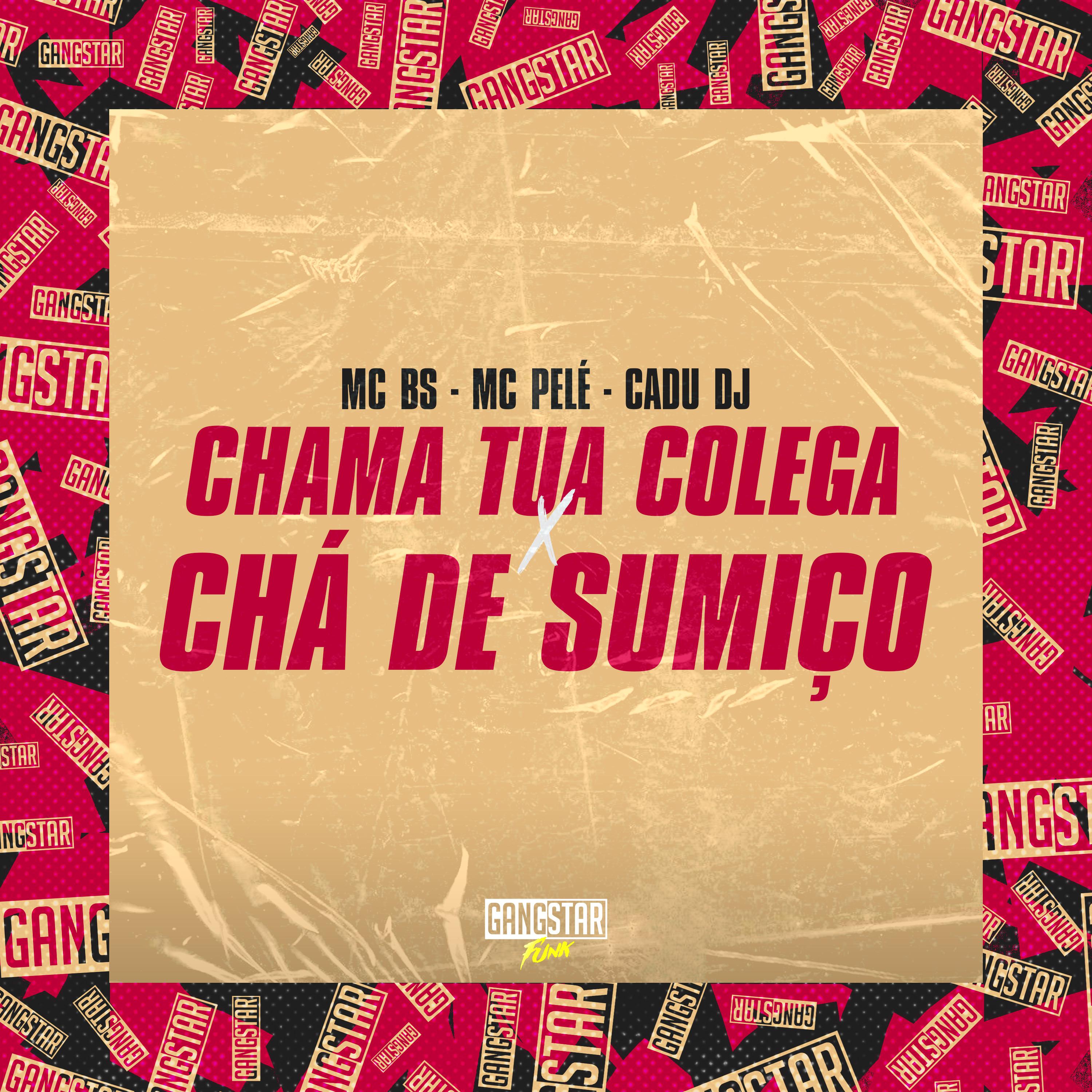 Постер альбома Chama Tua Colega X Chá de Sumiço