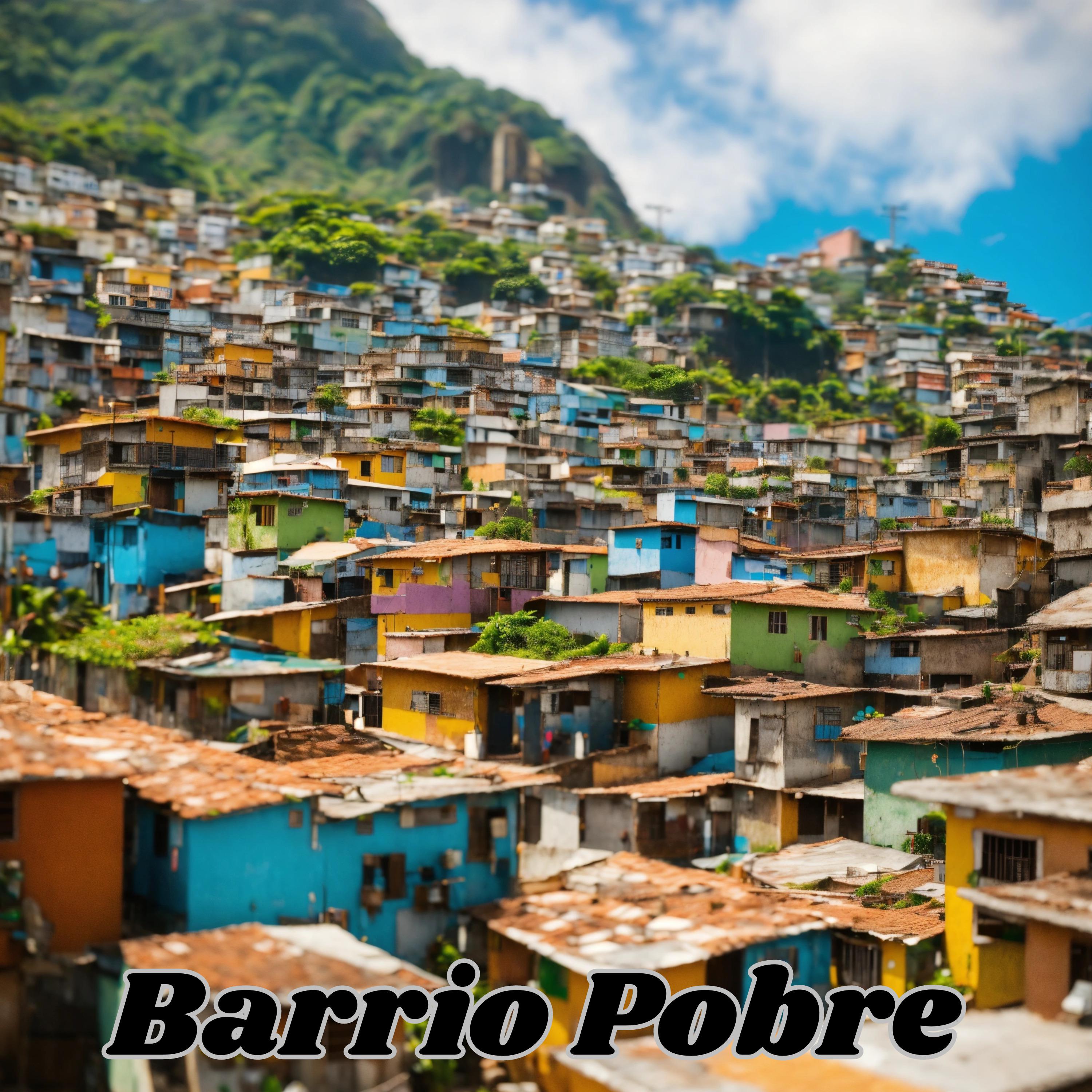 Постер альбома Barrio Pobre