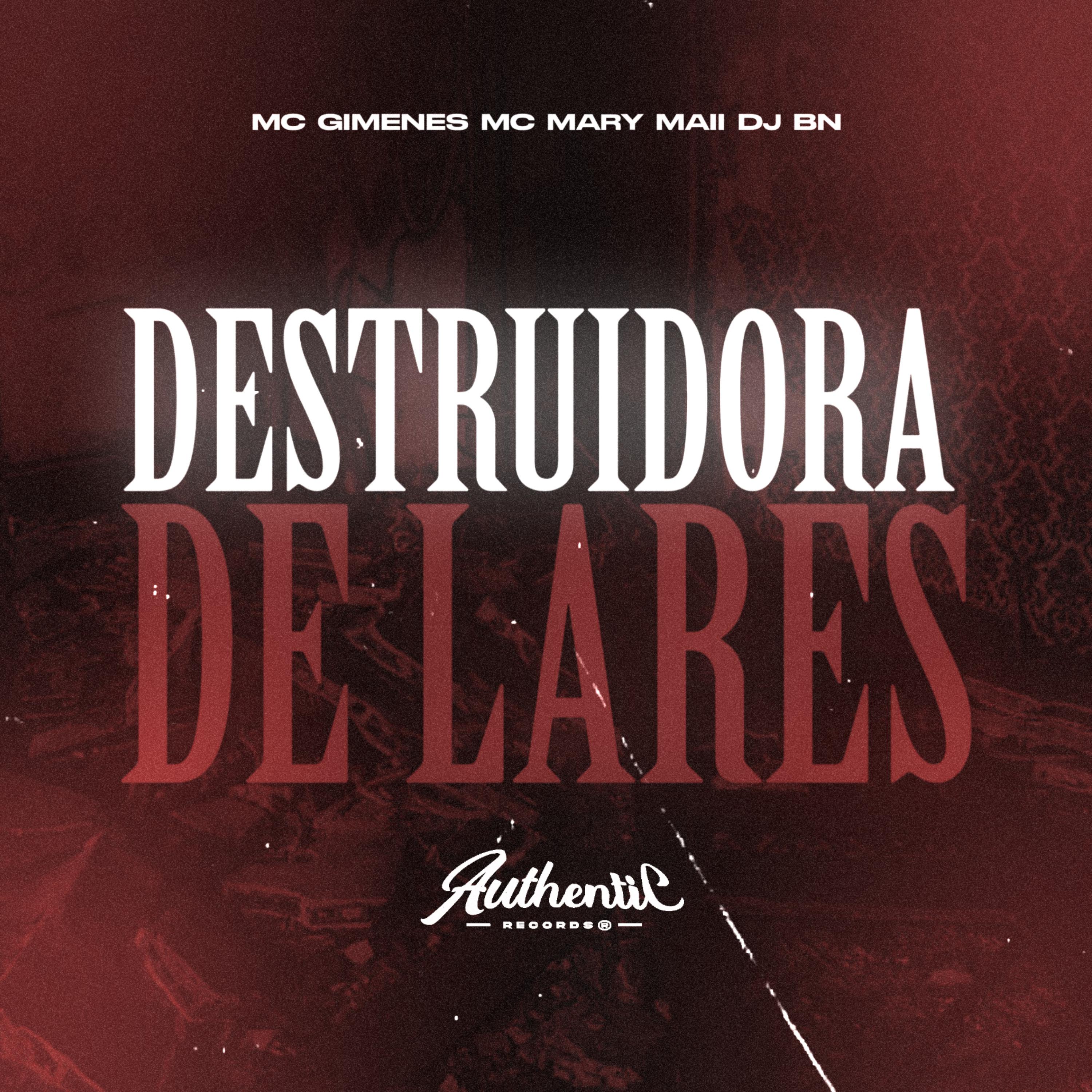 Постер альбома Destruidora de Lares