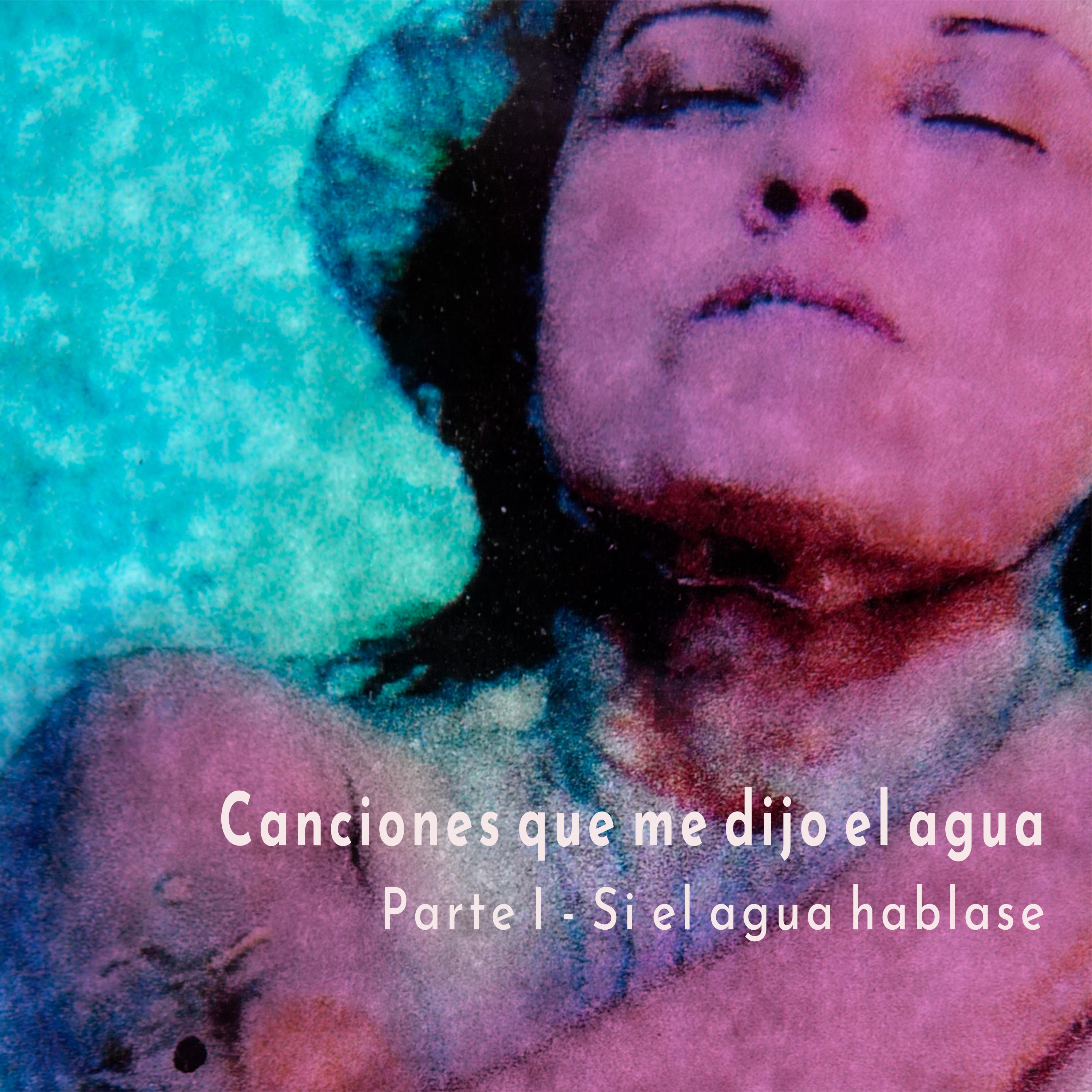 Постер альбома Canciones Que Me Dijo el Agua. Parte I - Si el Agua Hablase