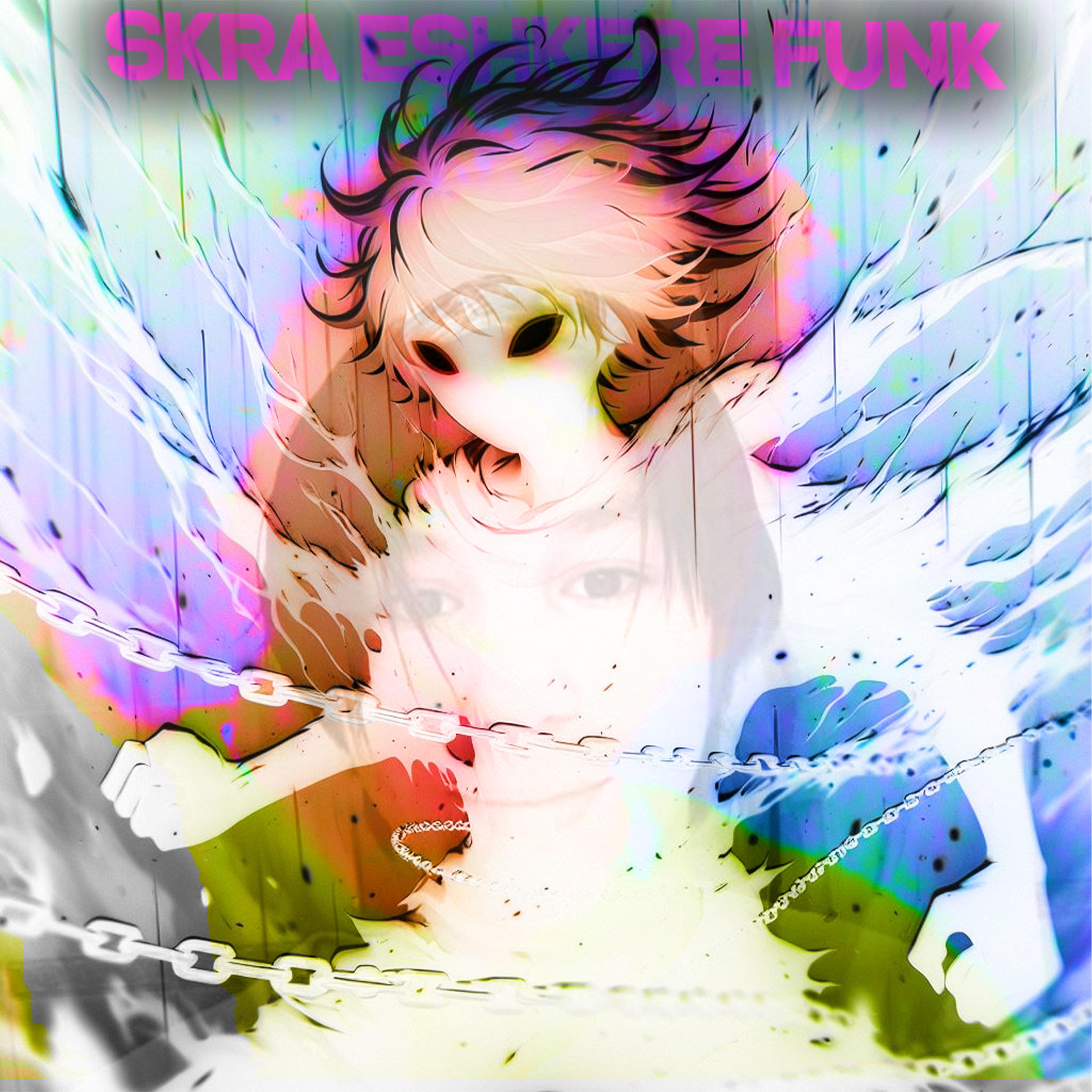 Постер альбома Skra Eshkere Funk