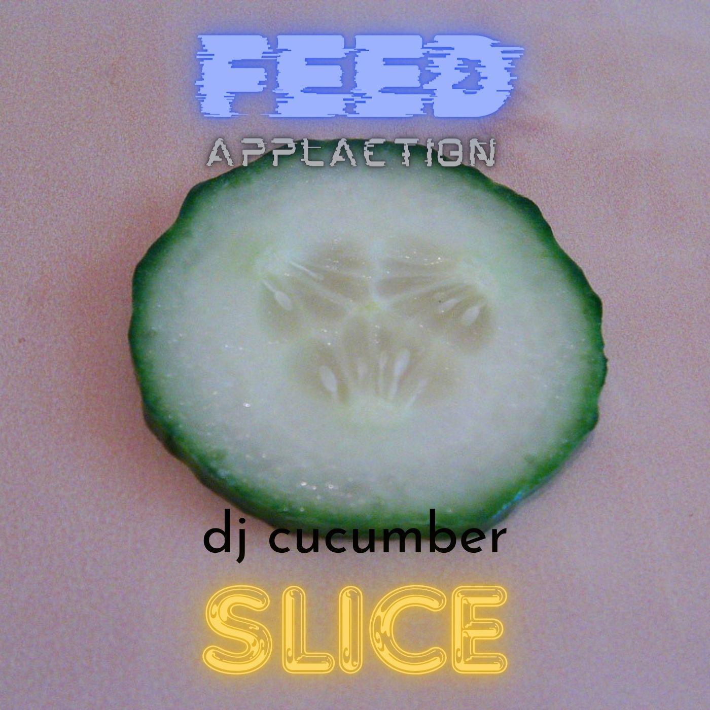 Постер альбома Feed Applaction