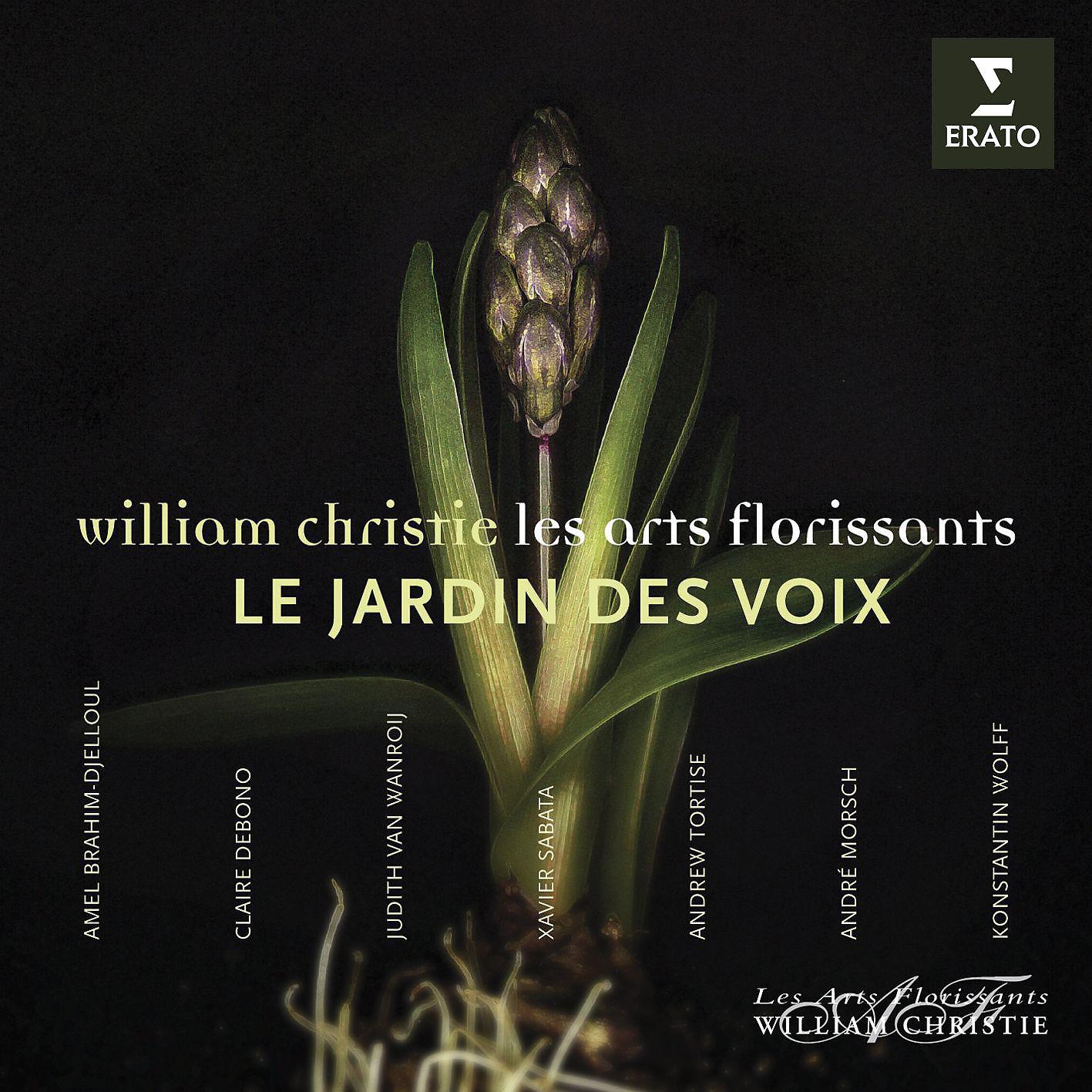 Постер альбома Le Jardin des Voix
