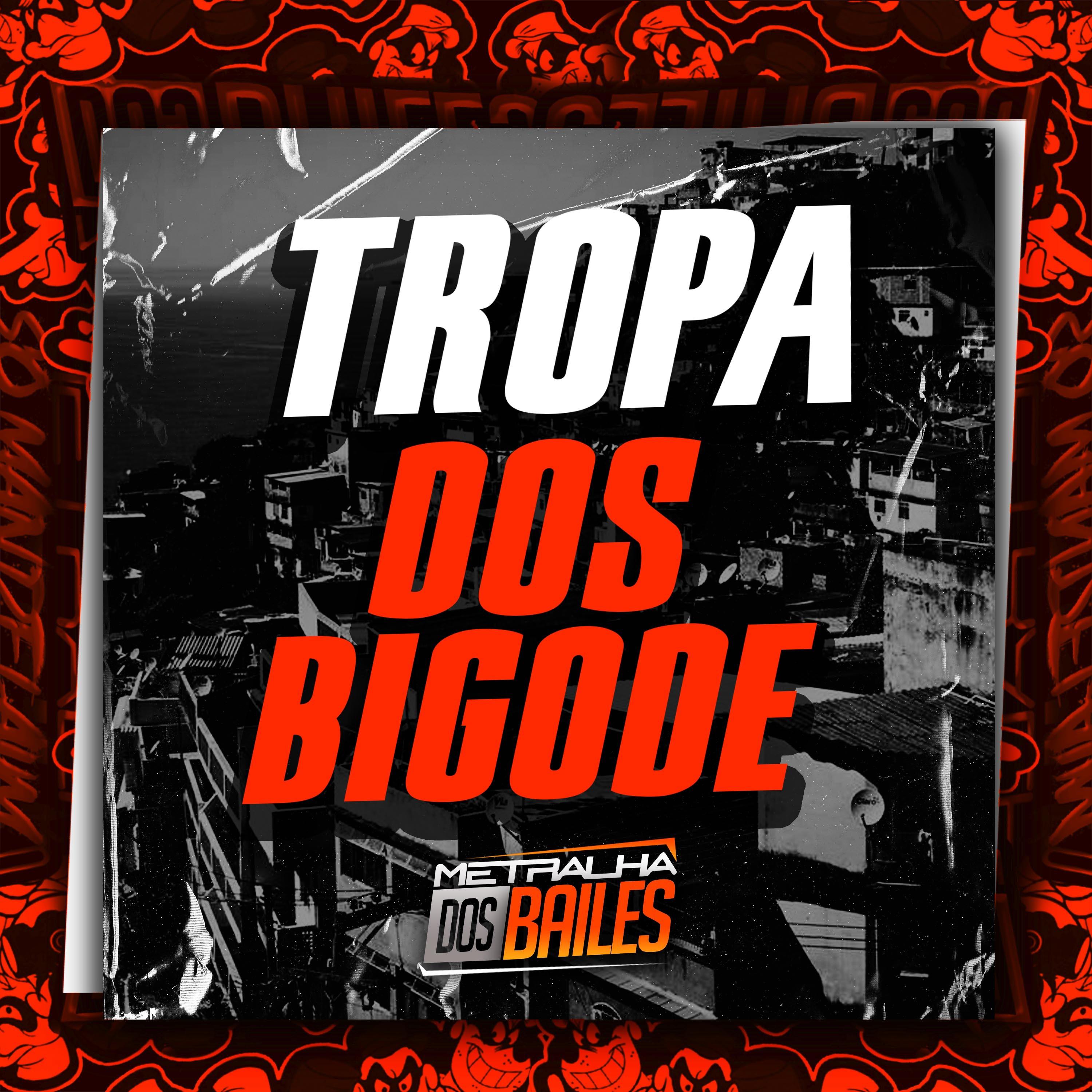 Постер альбома Tropa dos Bigode