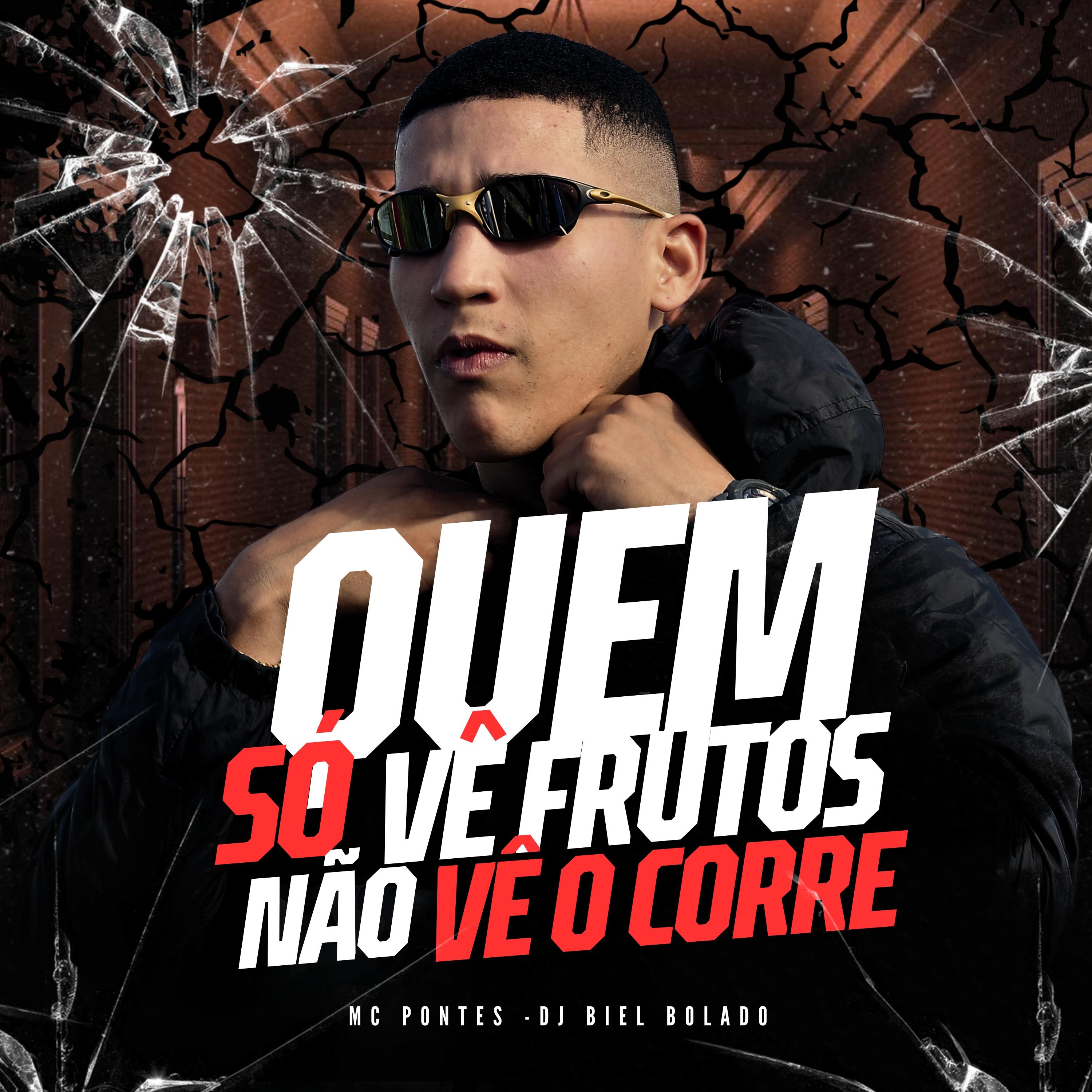 Постер альбома Quem Só Vê Frutos Não Vê o Corre