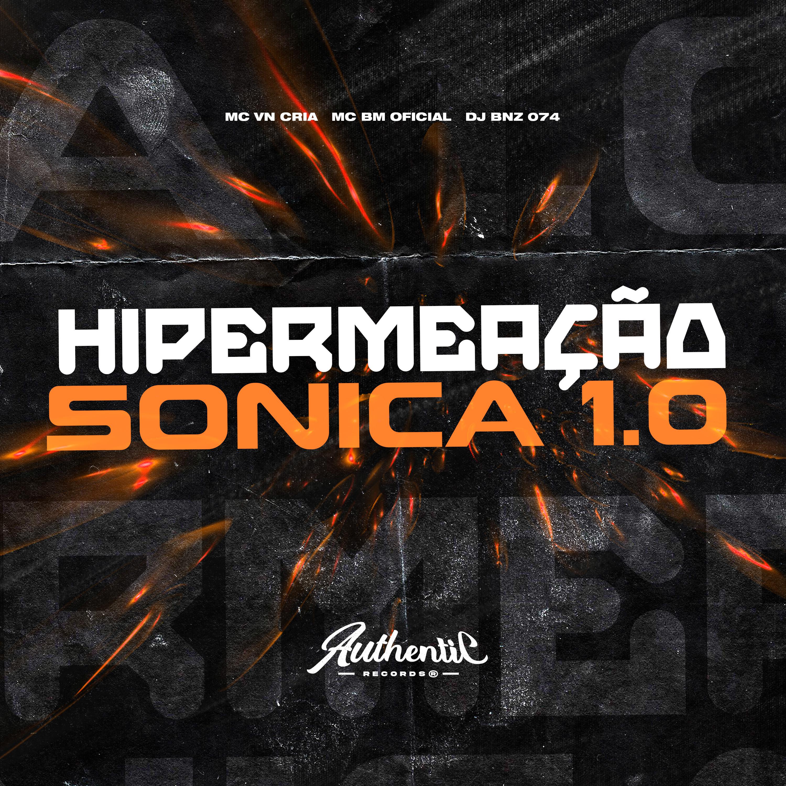 Постер альбома Hipermeação Sônica 1.0