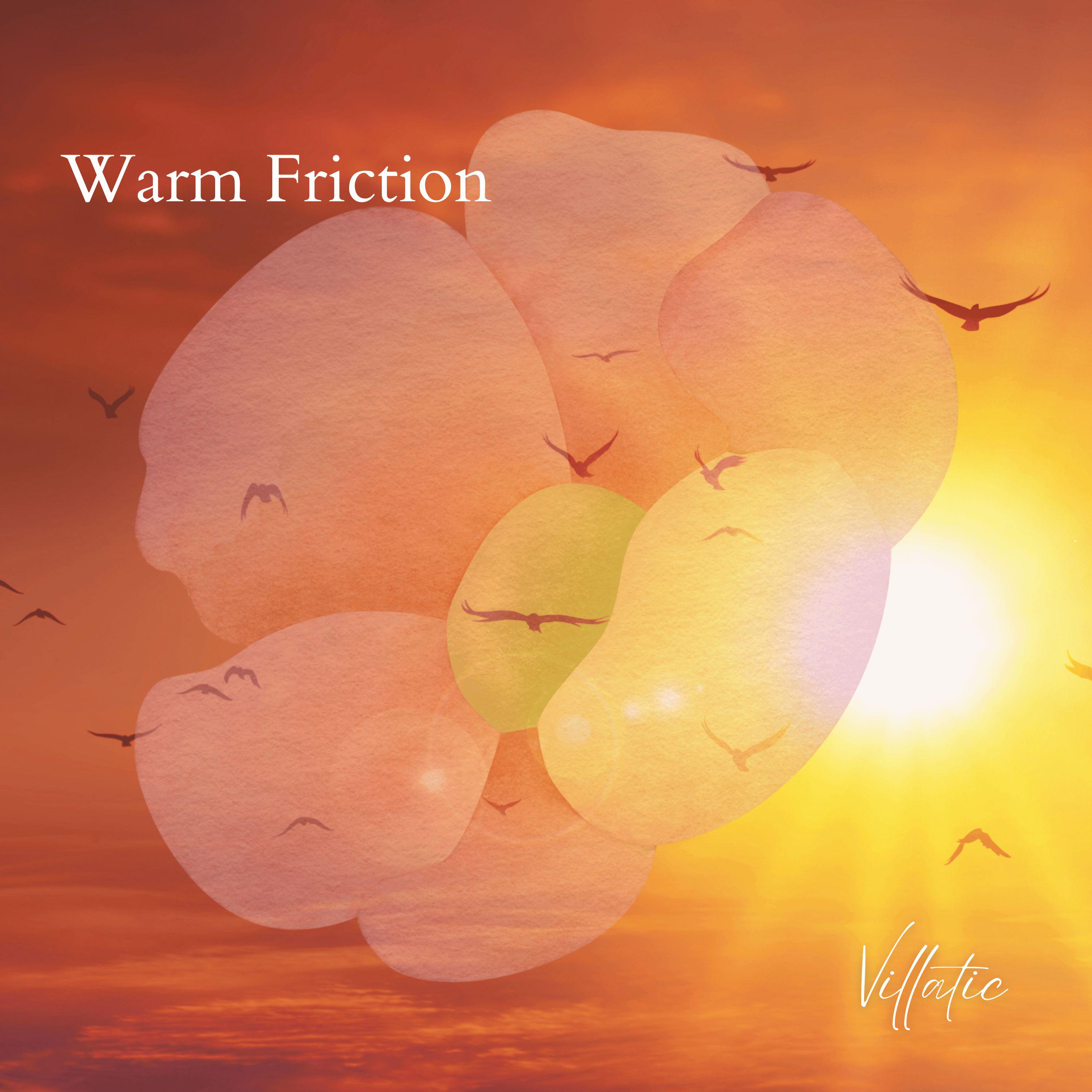 Постер альбома Warm Friction