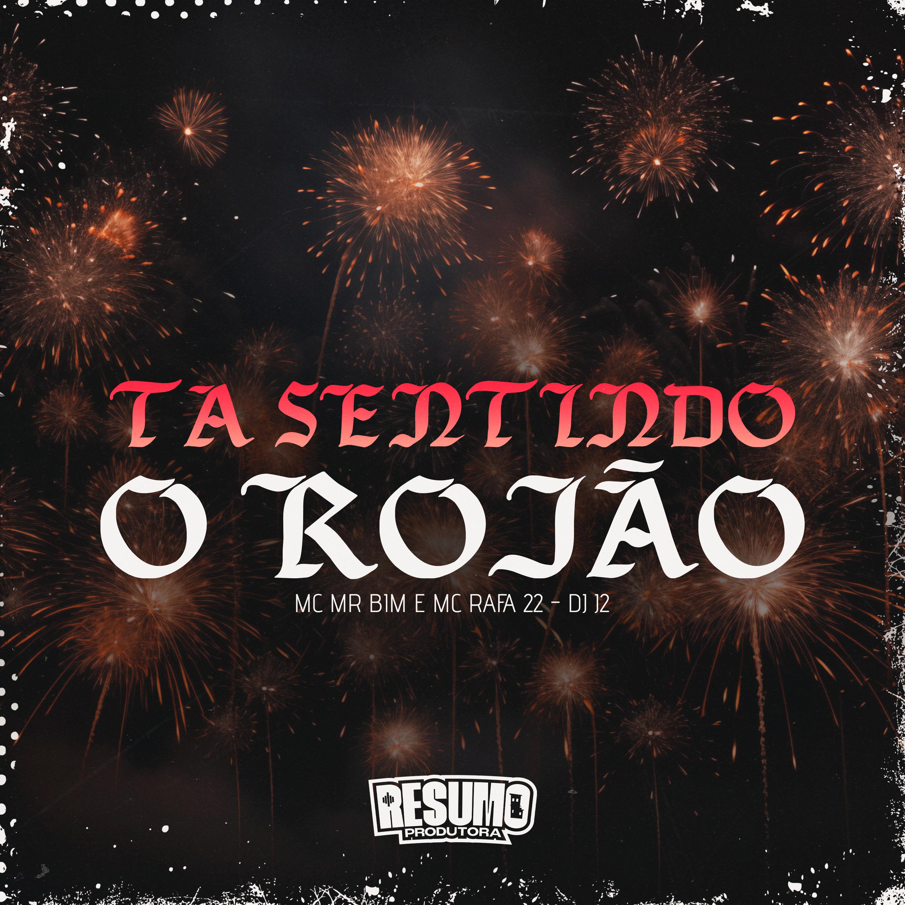 Постер альбома Ta Sentindo o Rojão