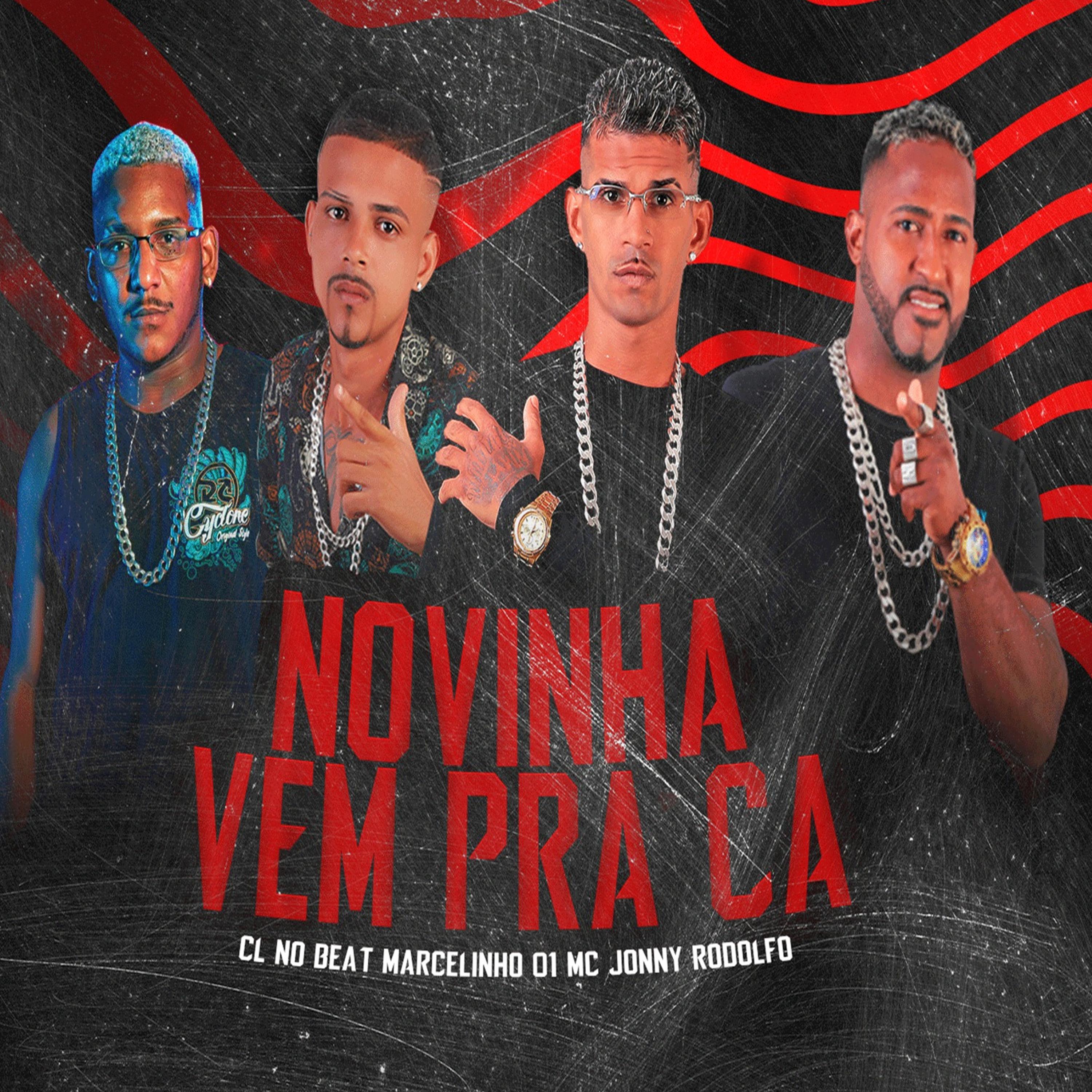 Постер альбома Novinha Vem pra Ca
