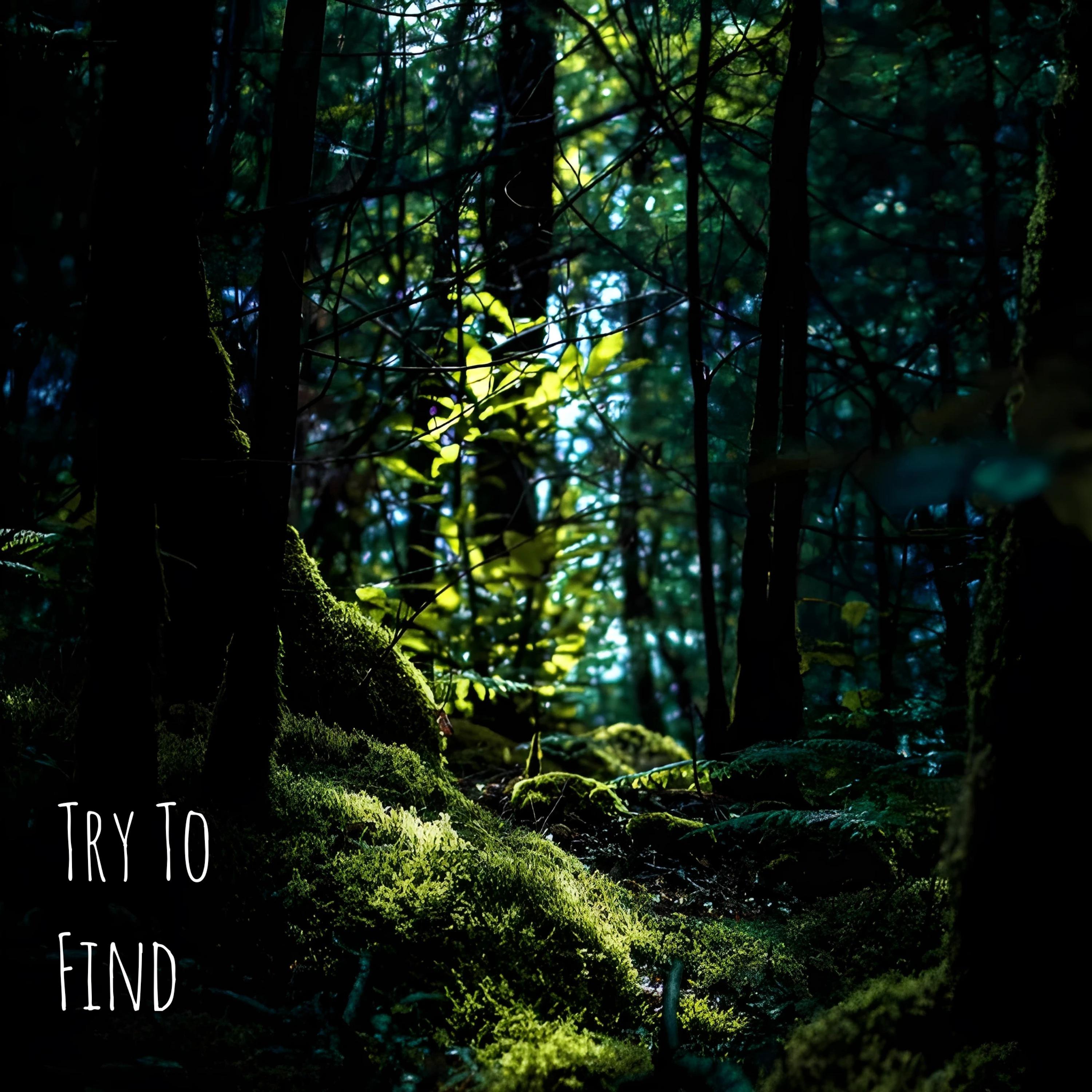 Постер альбома Try to Find